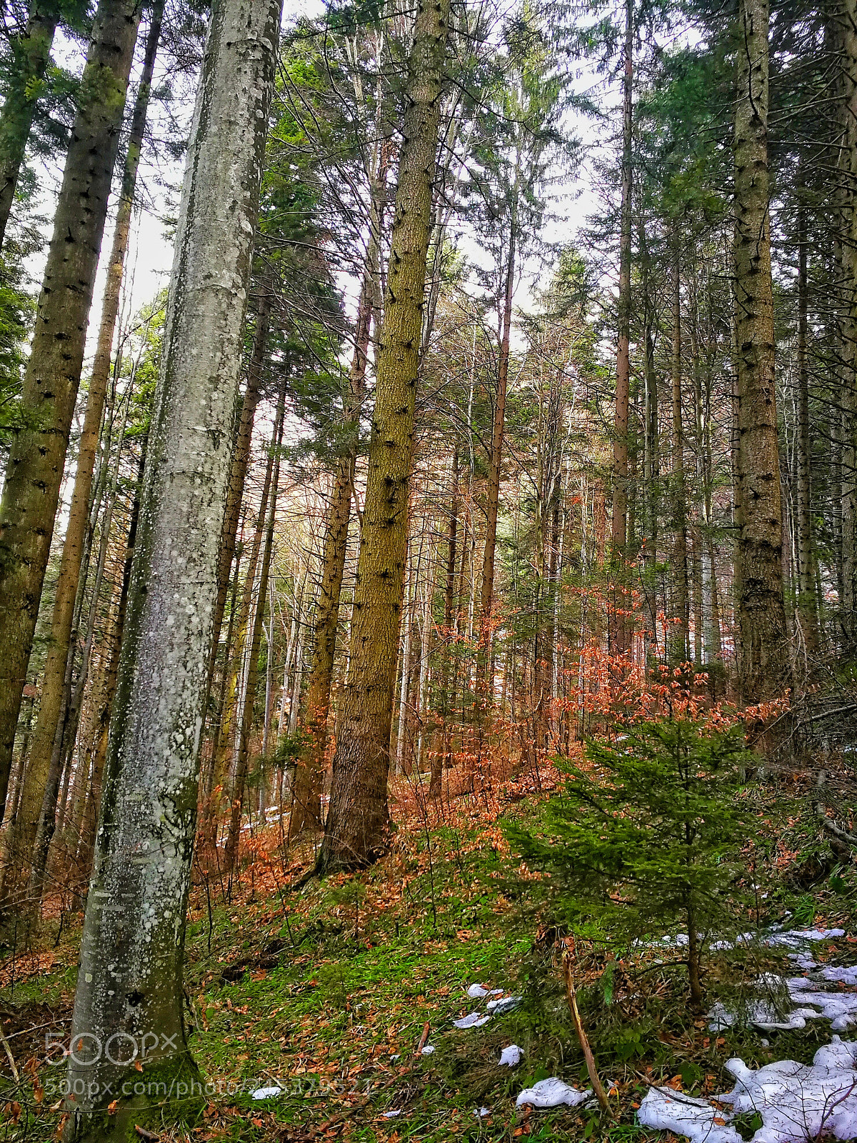 HUAWEI P10 sample photo. Breathing photography