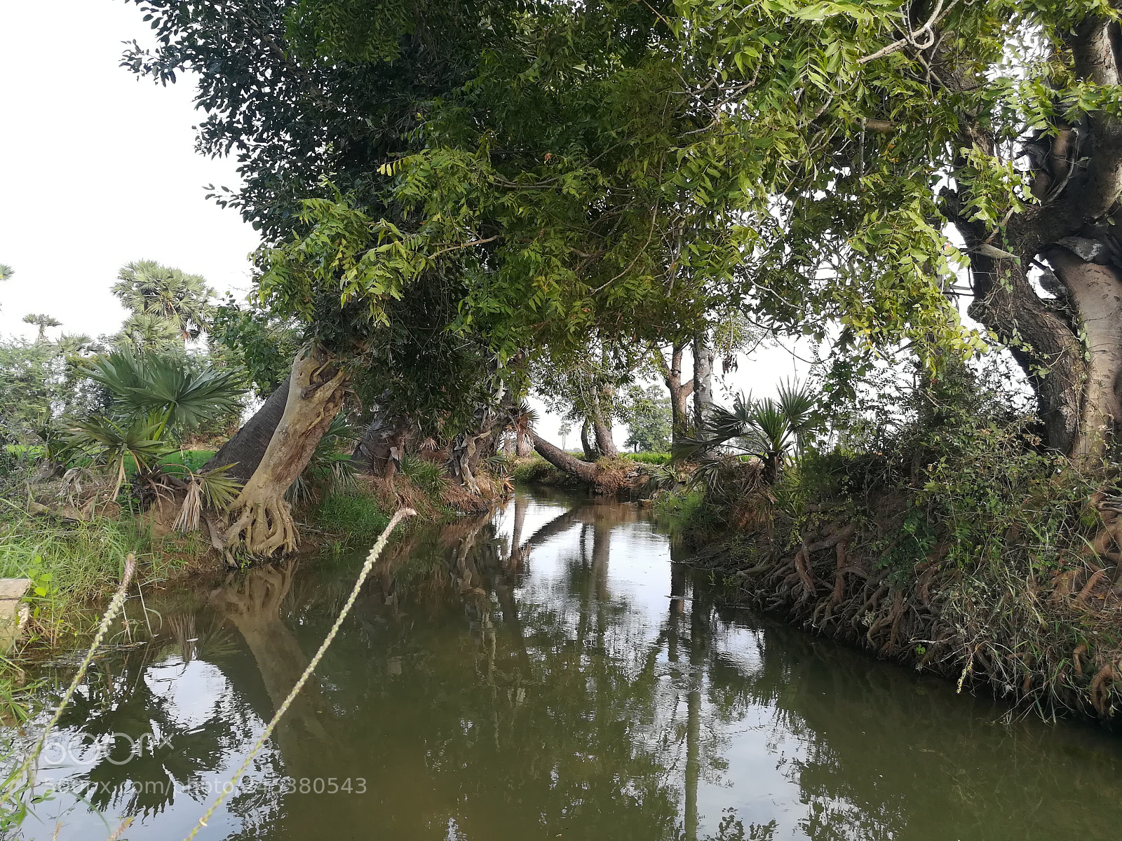 HUAWEI honor 6x sample photo. Untitled photography