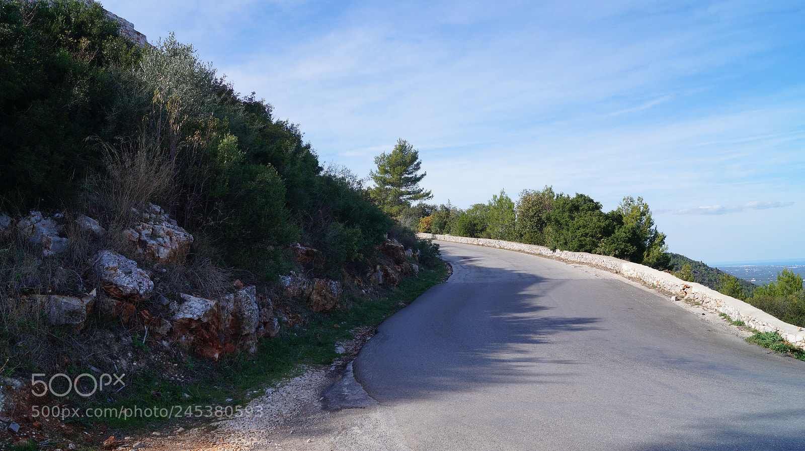 Sony SLT-A58 sample photo. Untitled photography
