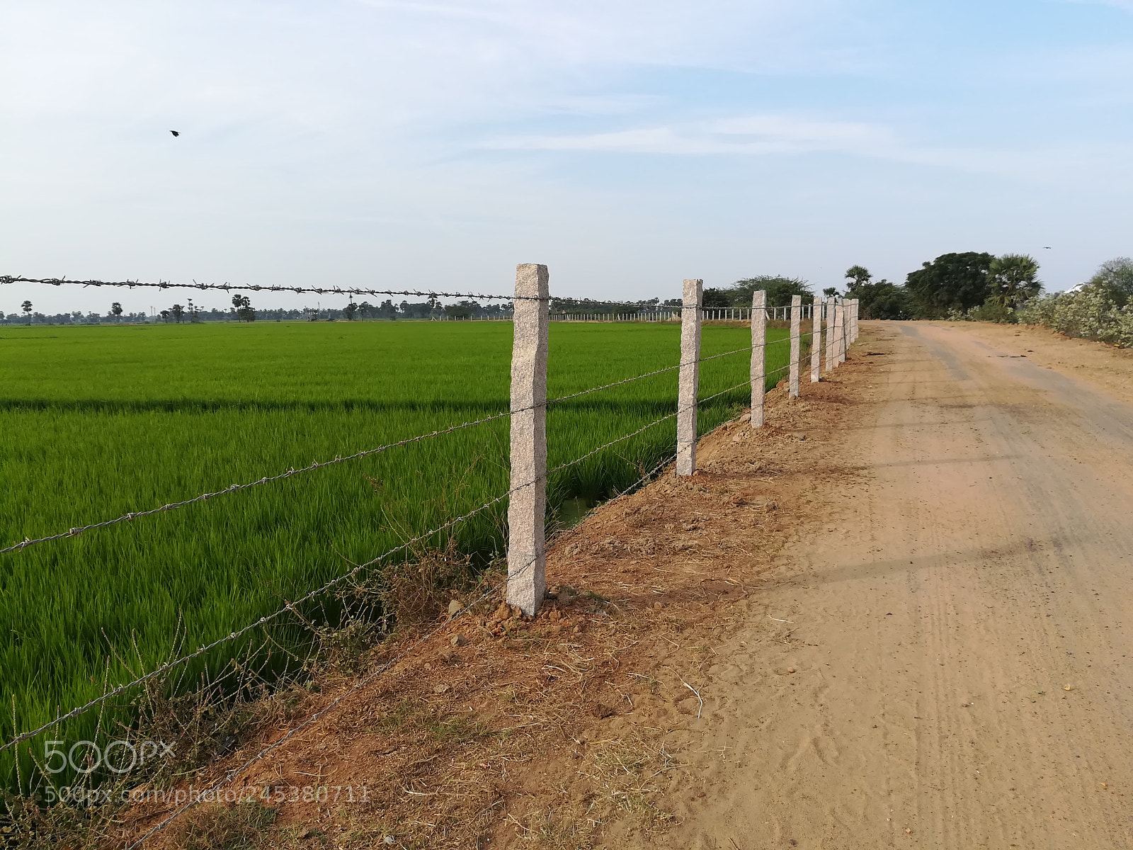 HUAWEI honor 6x sample photo. Untitled photography