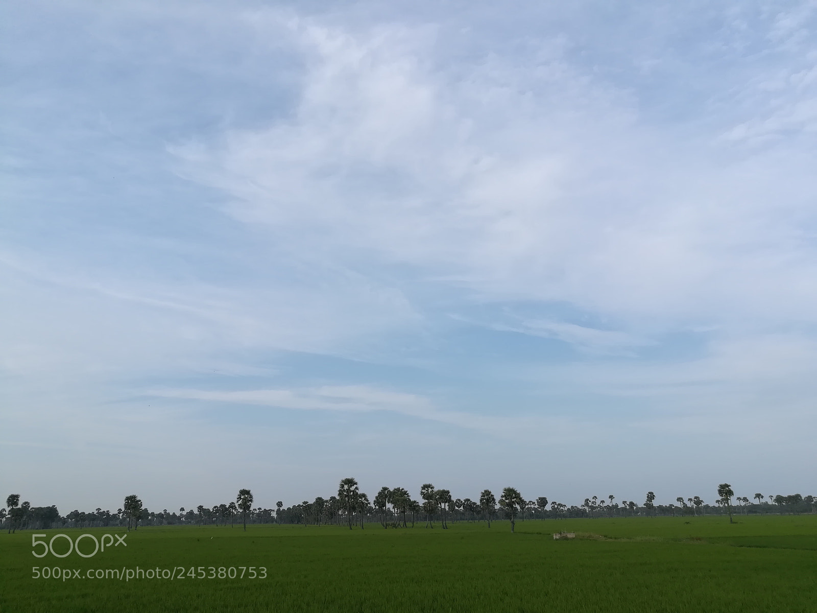 HUAWEI honor 6x sample photo. Untitled photography