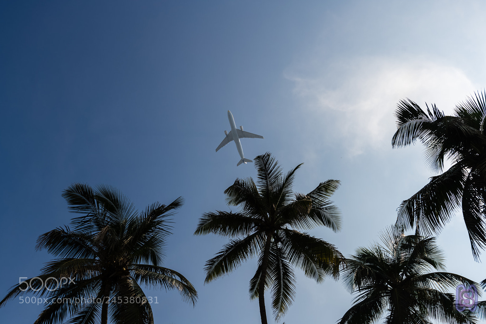 Nikon D850 sample photo. Into the sky photography