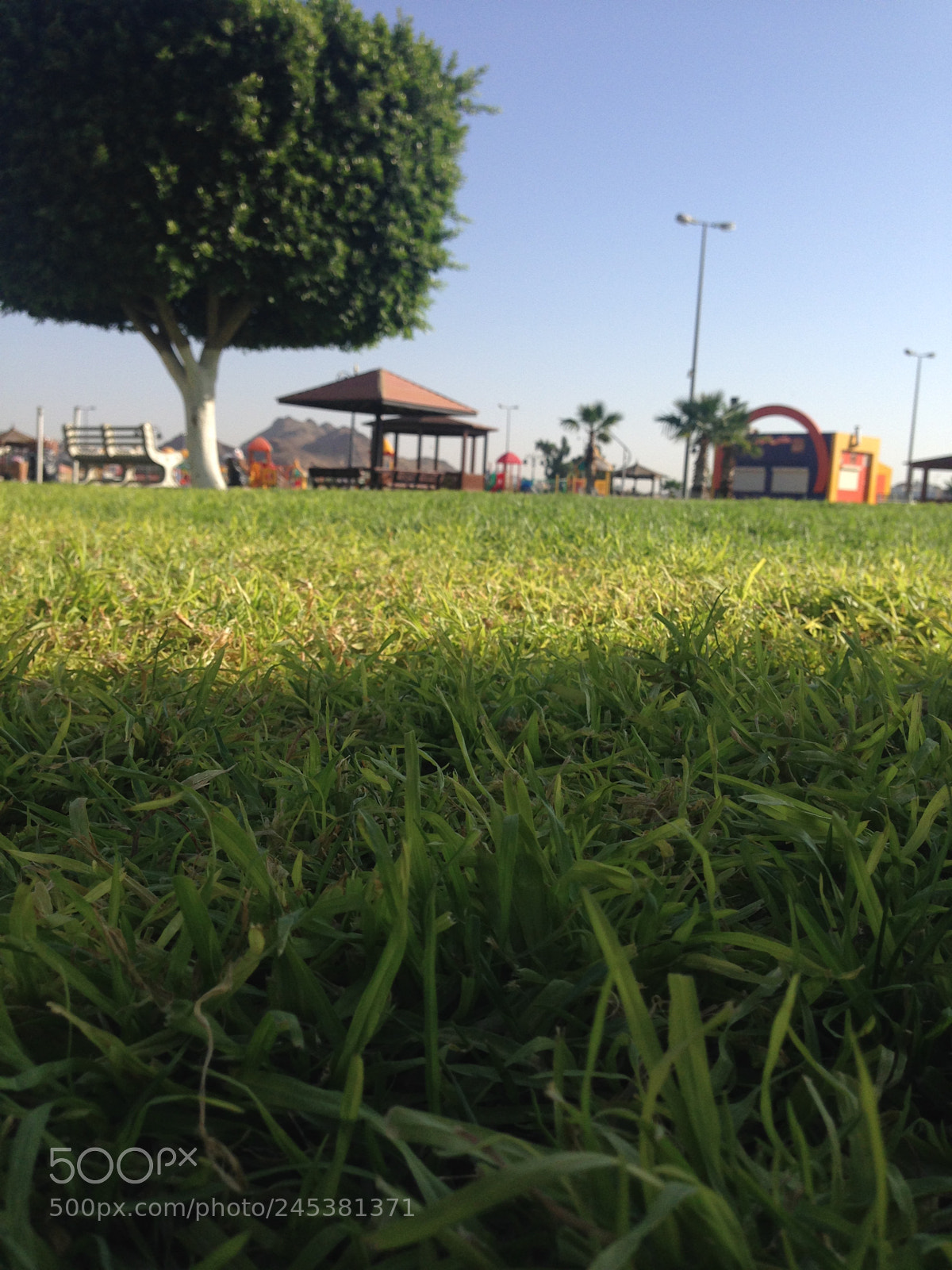 Apple iPhone 5 sample photo. Untitled photography