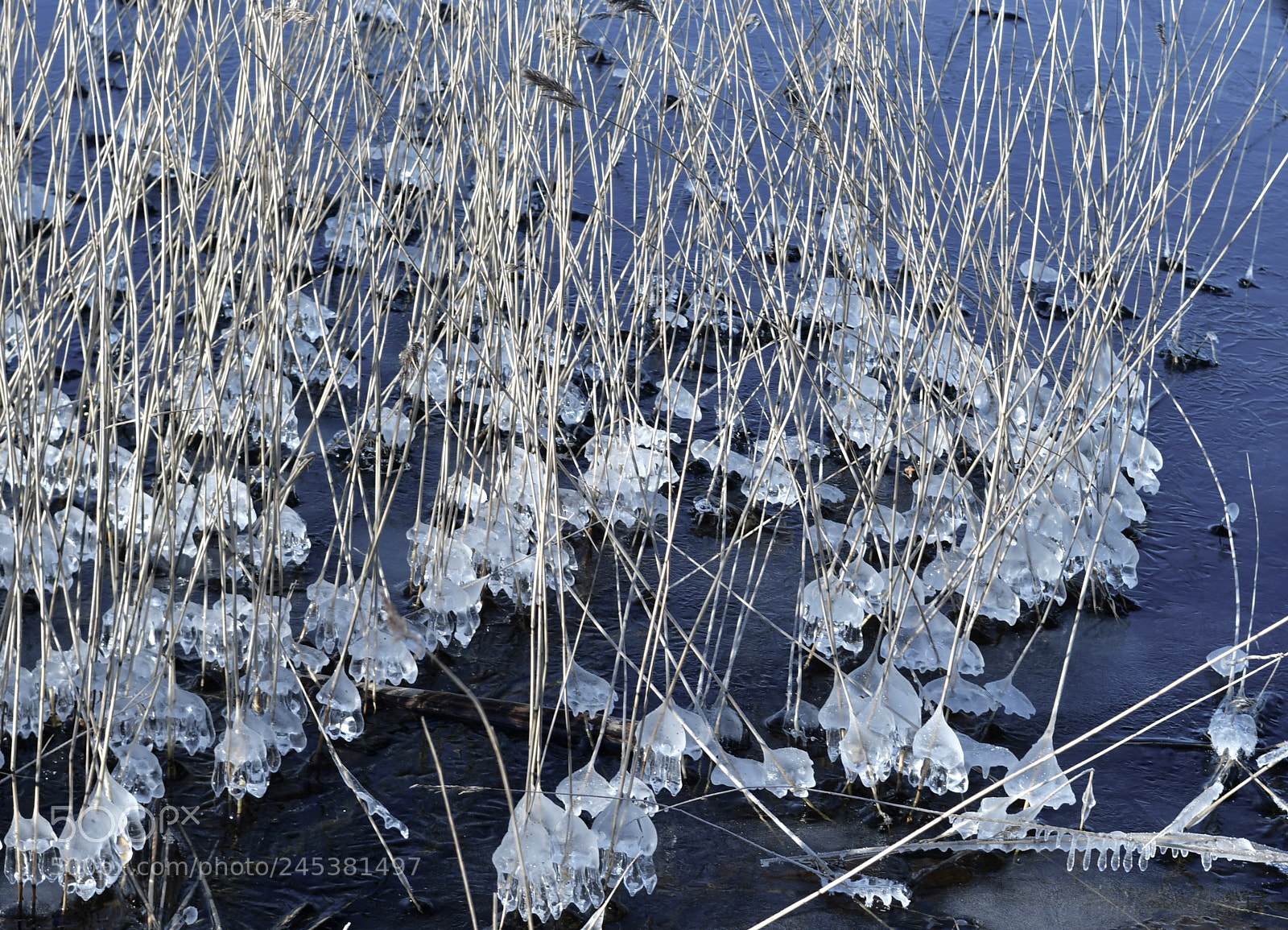 Nikon D500 sample photo. Ice photography