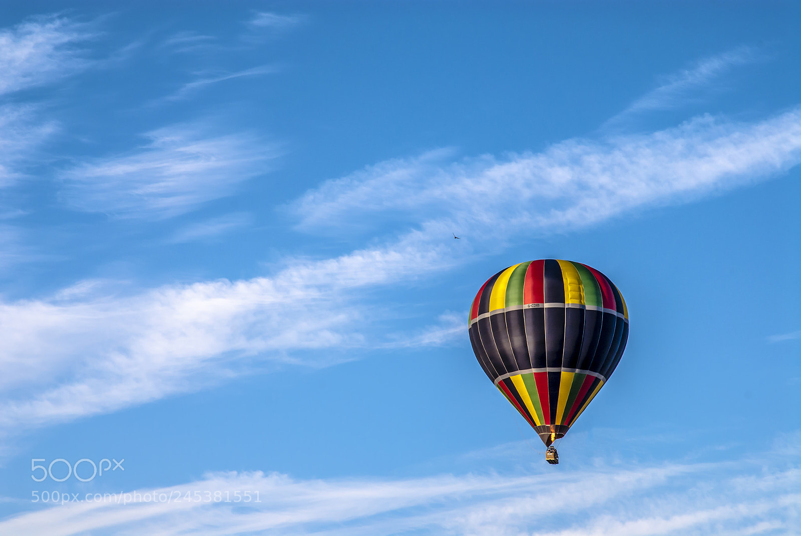 Nikon D200 sample photo. Air balloons photography