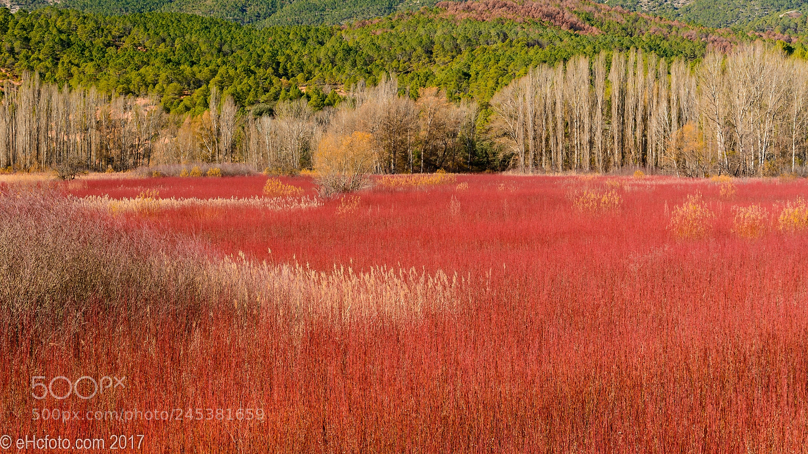 Nikon D7100 sample photo. Cuenca, ruta del mimbre photography