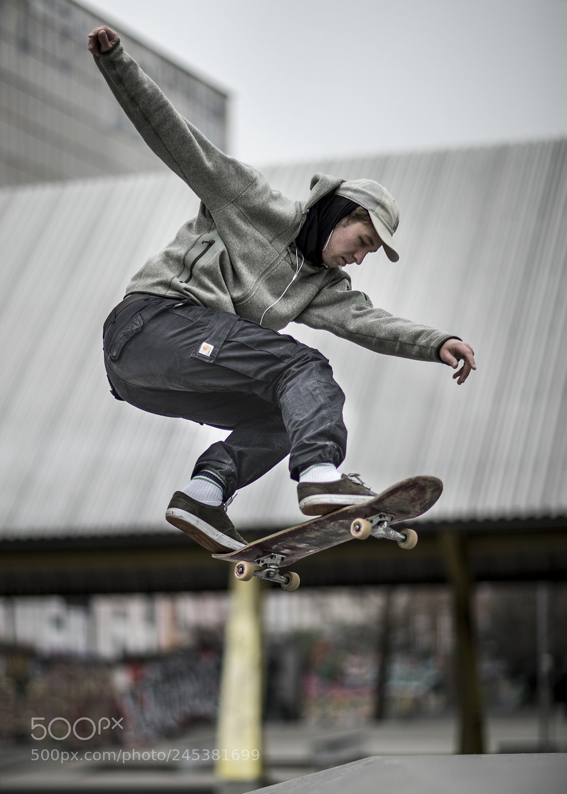 Canon EOS-1D X Mark II sample photo. Bi photography