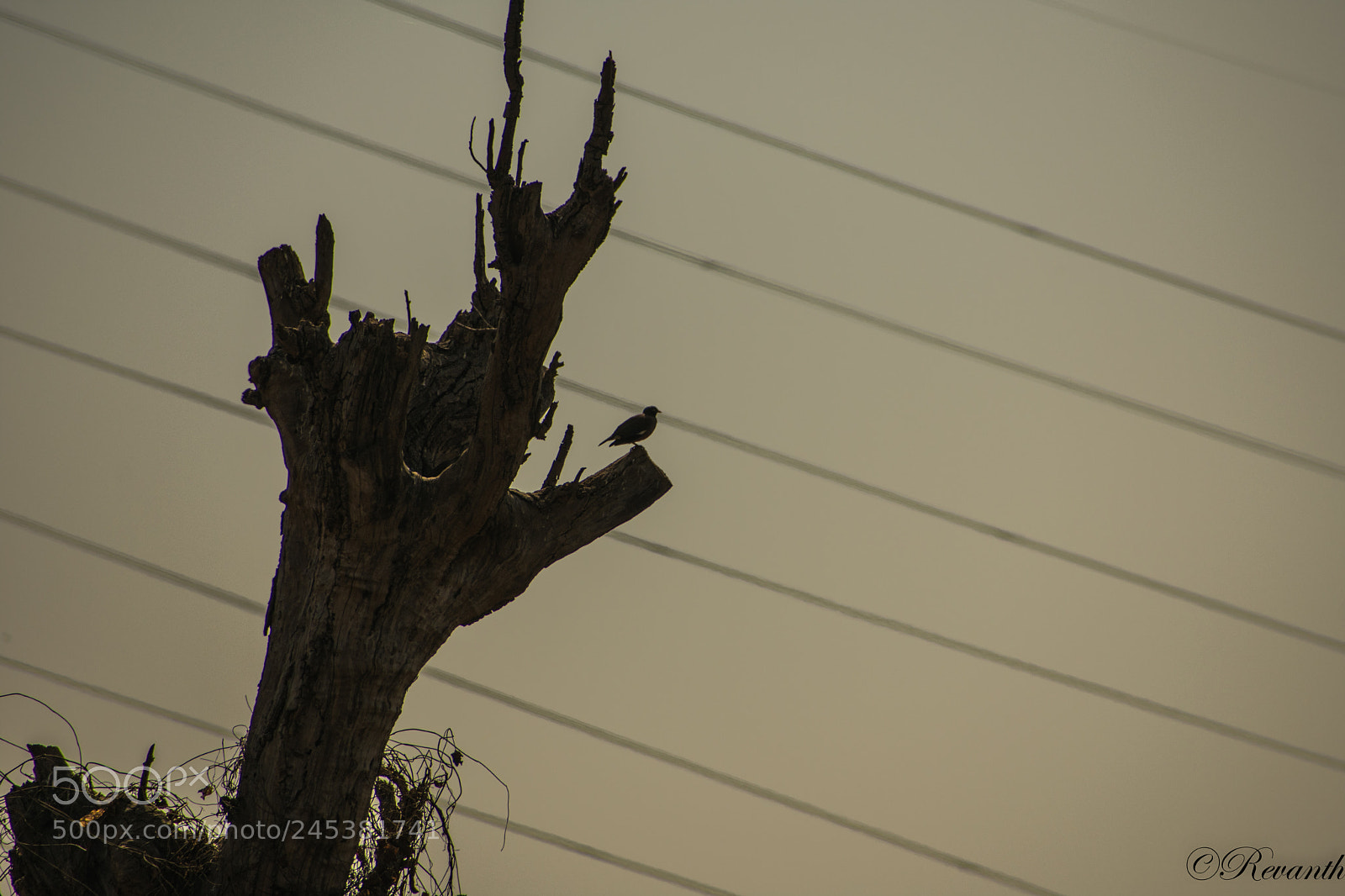 Nikon D3400 sample photo. Untitled photography