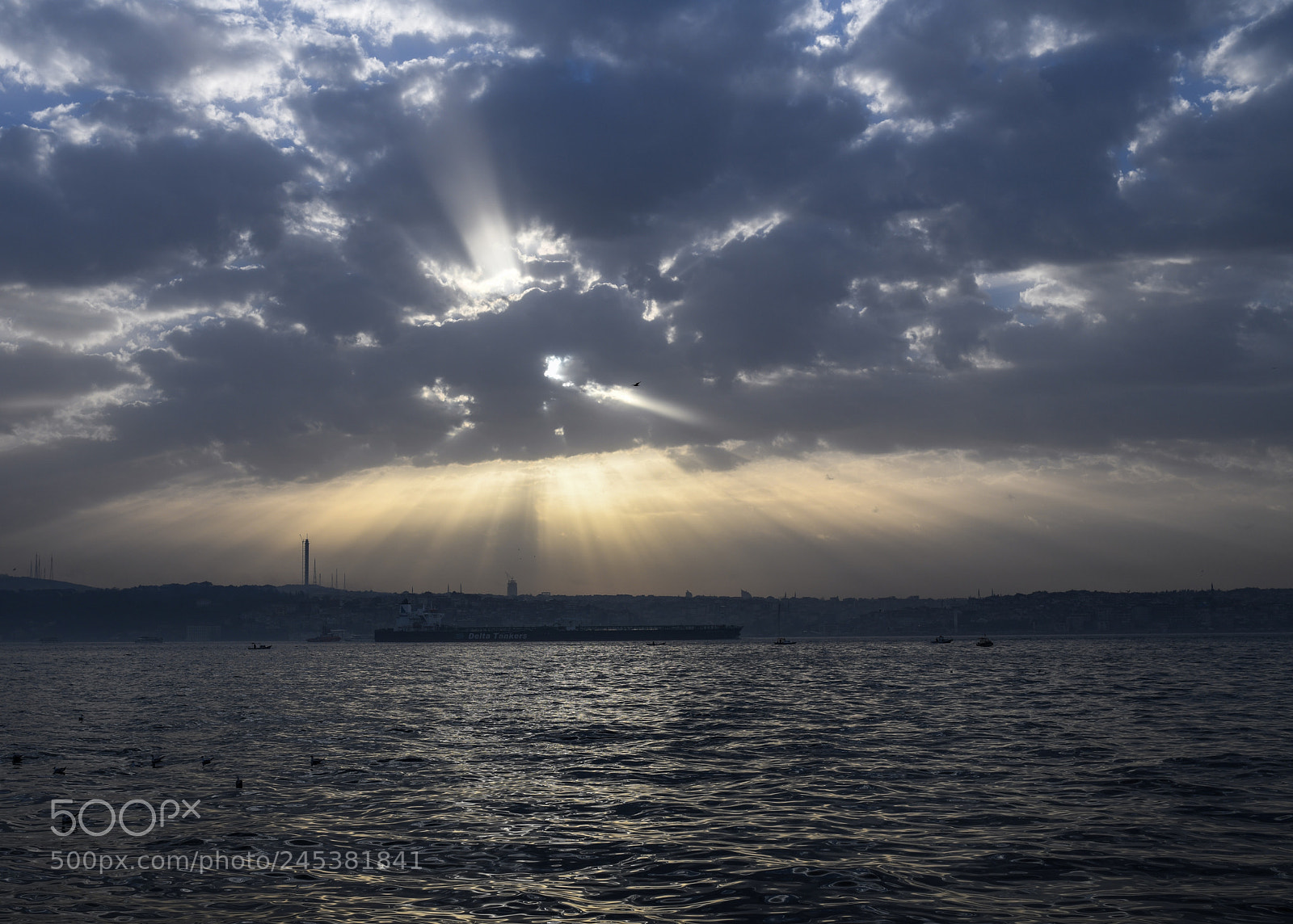 Nikon D850 sample photo. Rays photography
