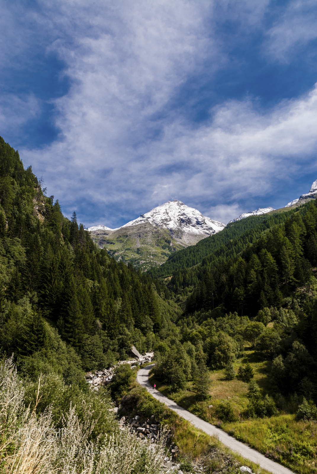 Nikon D200 sample photo. Switzerland views photography