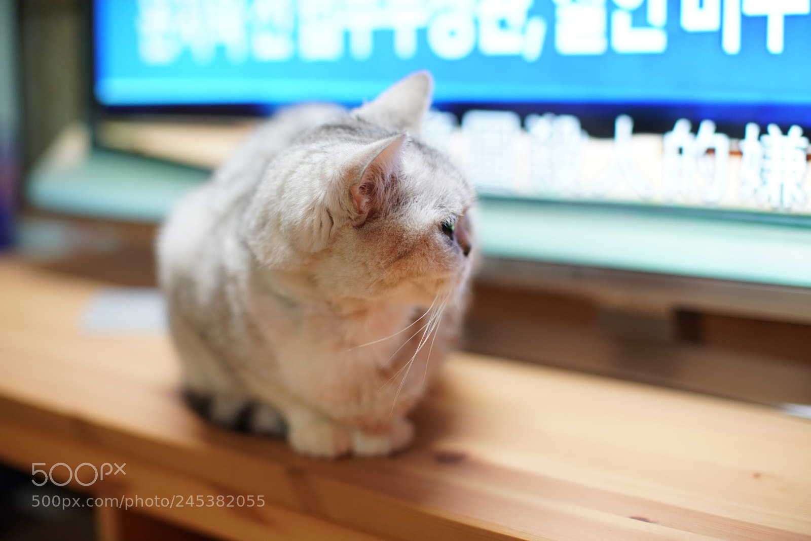 Sony a9 sample photo. Watching tv photography