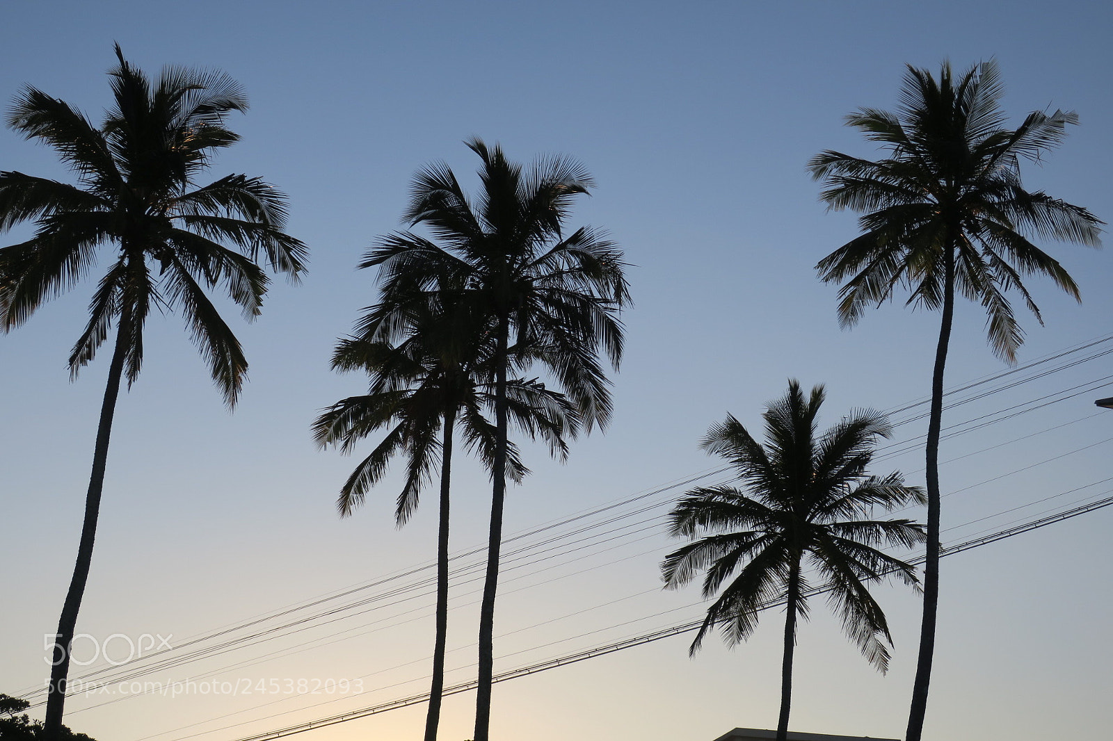 Canon PowerShot G9 X sample photo. Praia vermelha (rj) photography