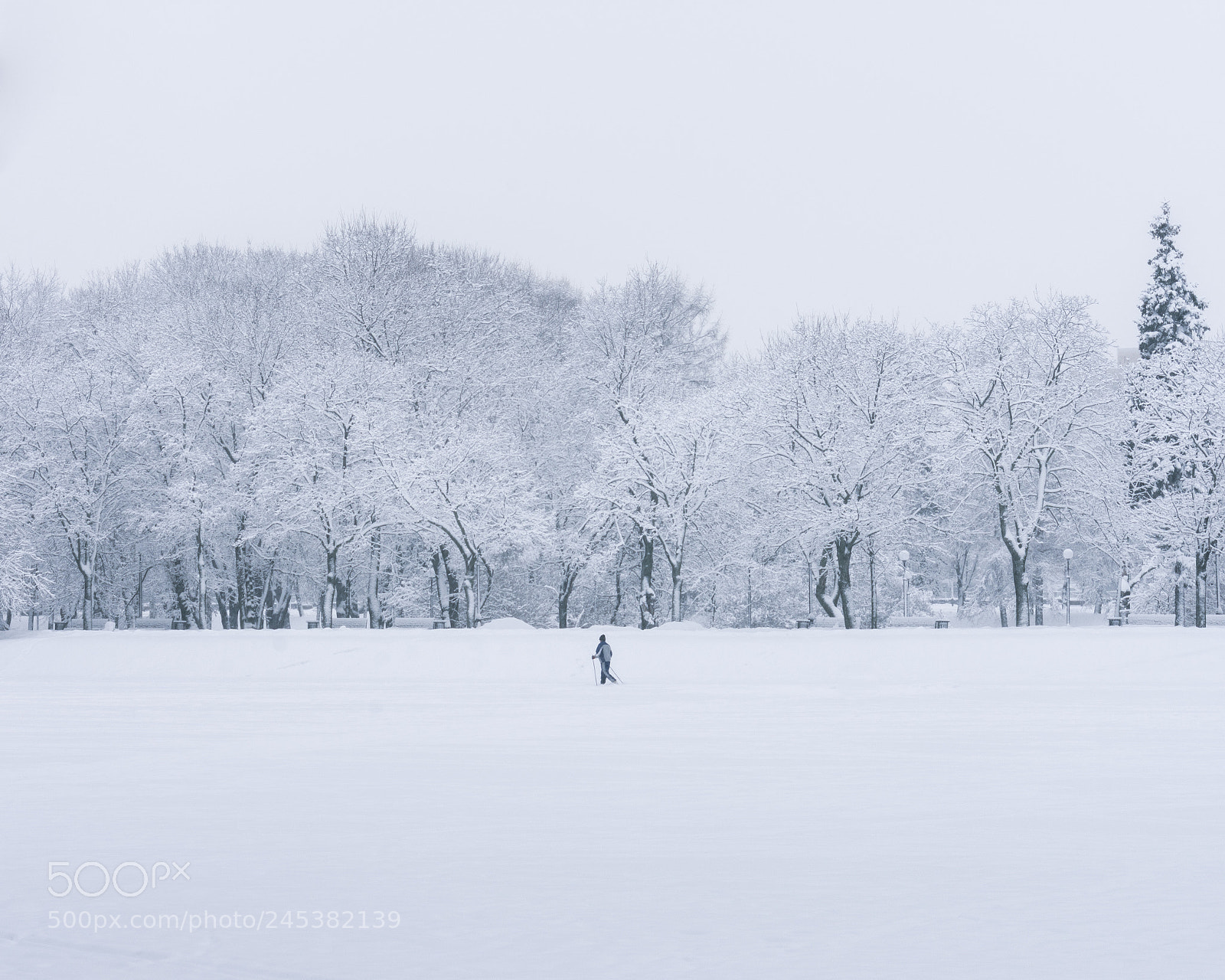 Nikon D7200 sample photo. Narnia, moscow photography