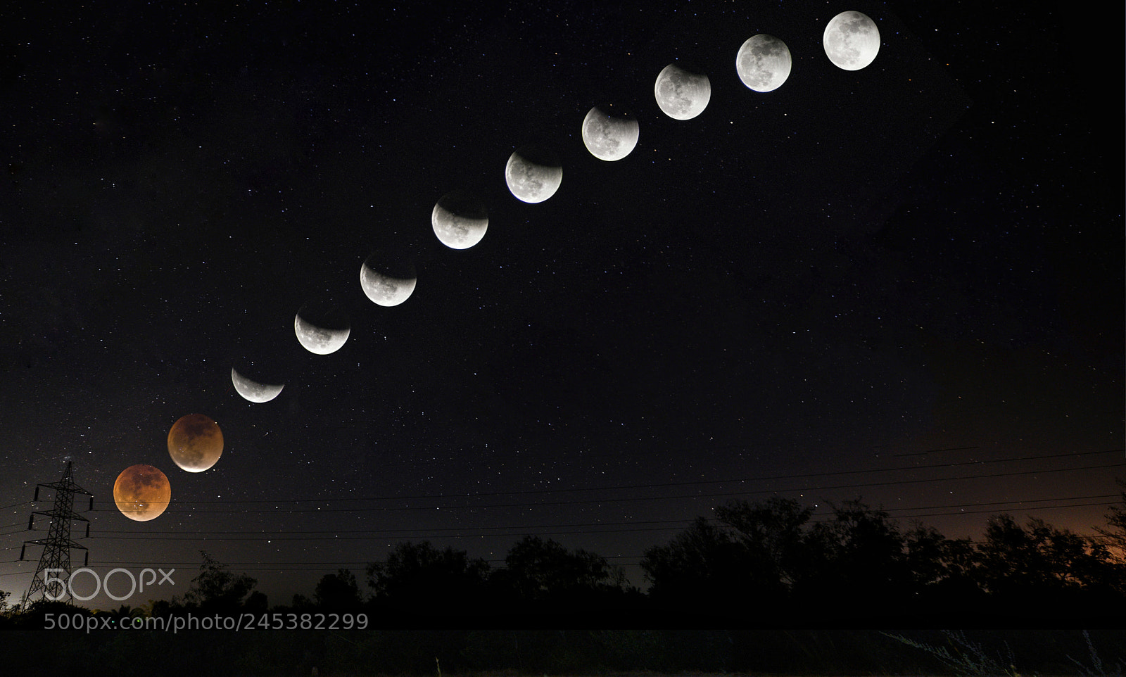Nikon D800E sample photo. Super blue blood moon photography