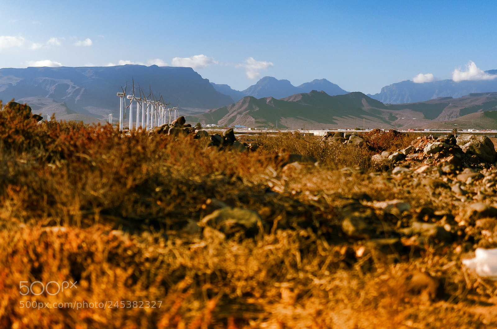 Olympus OM-D E-M5 II sample photo. Canarian landscape. photography
