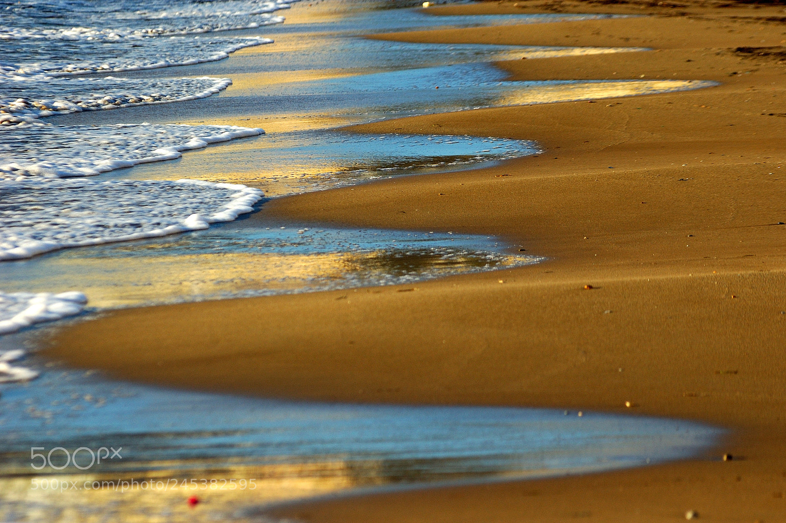 Nikon D70s sample photo. Untitled photography