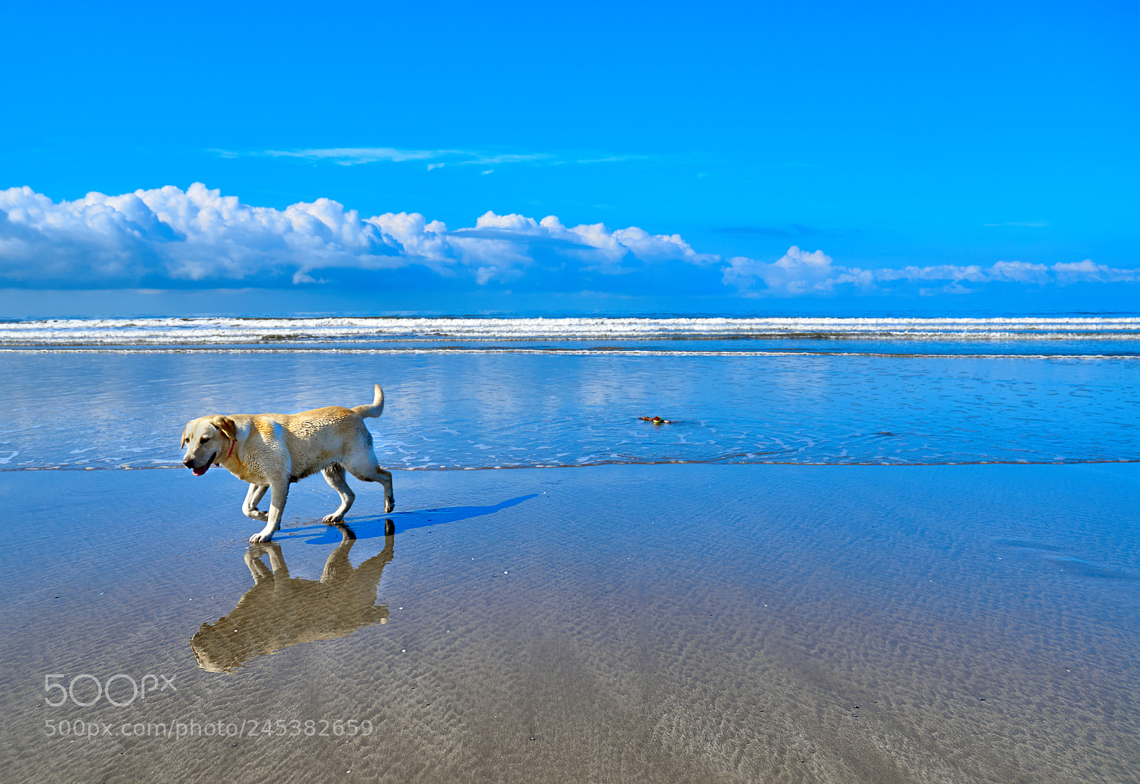 Nikon D200 sample photo. Seascape images from wales photography