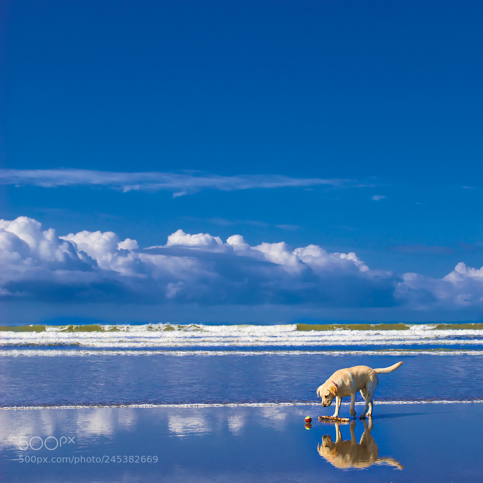 Nikon D200 sample photo. Seascape images from wales photography