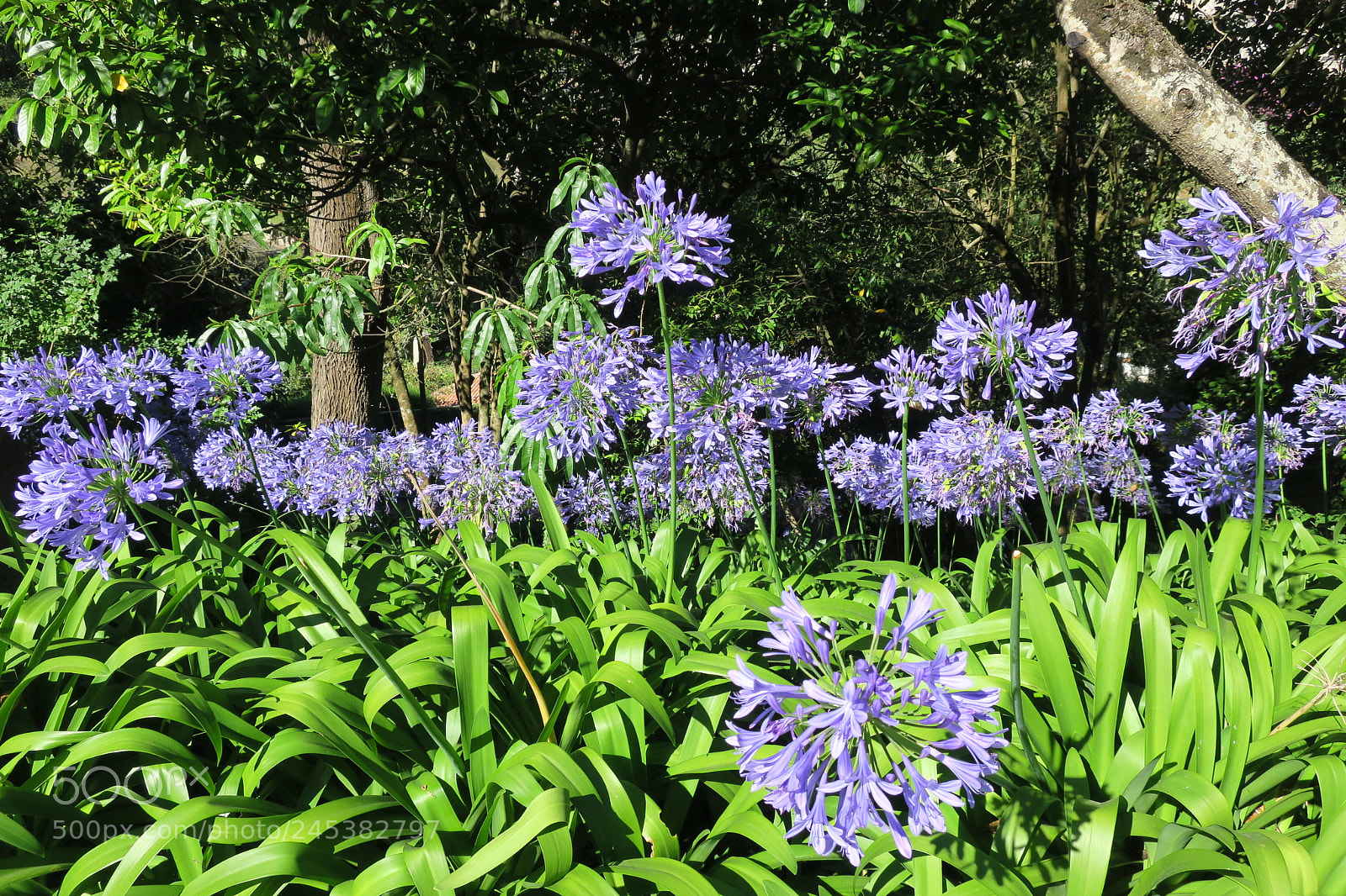 Canon PowerShot G9 X sample photo. Sintra - portugal photography
