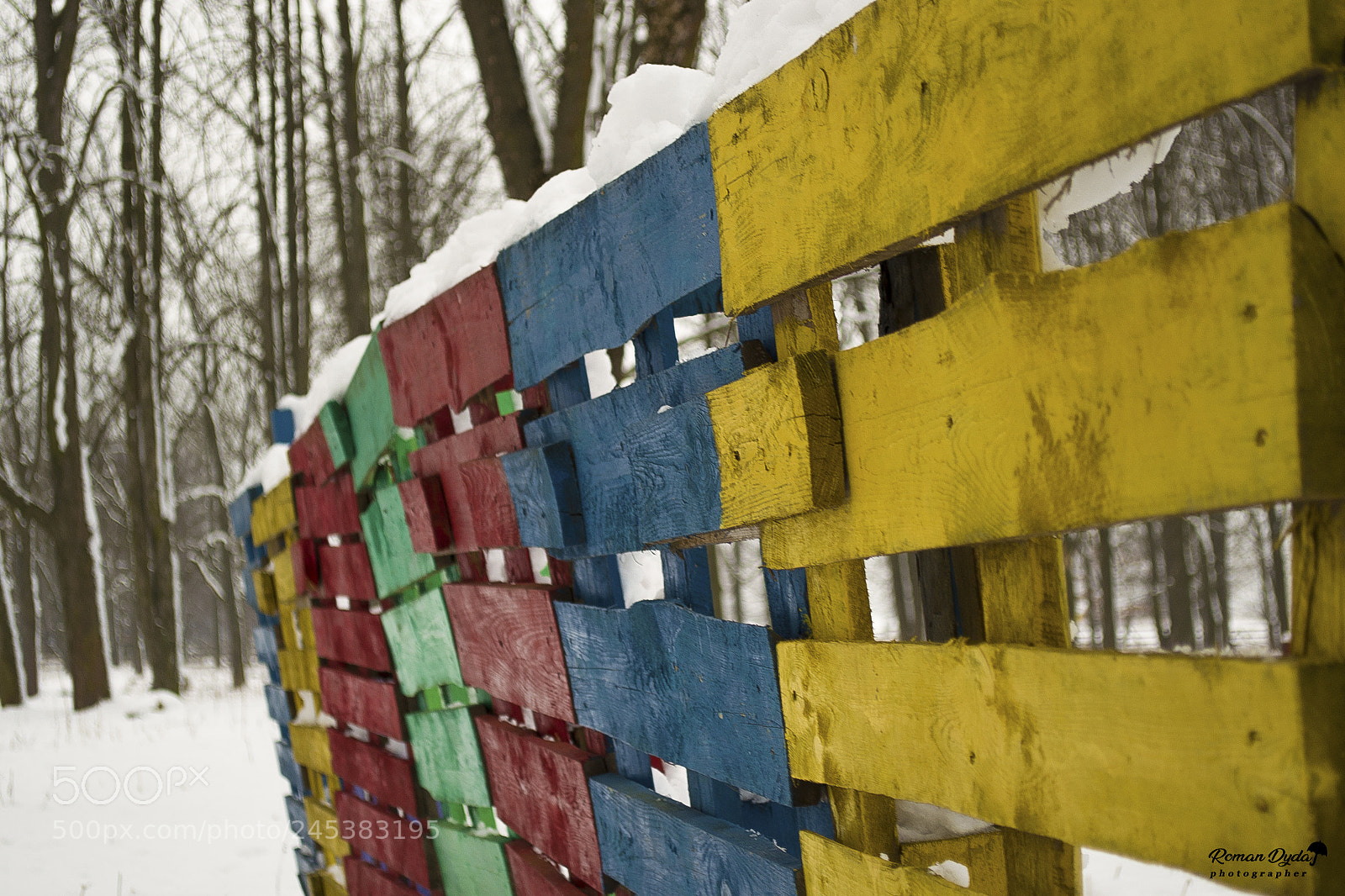 Nikon D3100 sample photo. Colors of life. photography