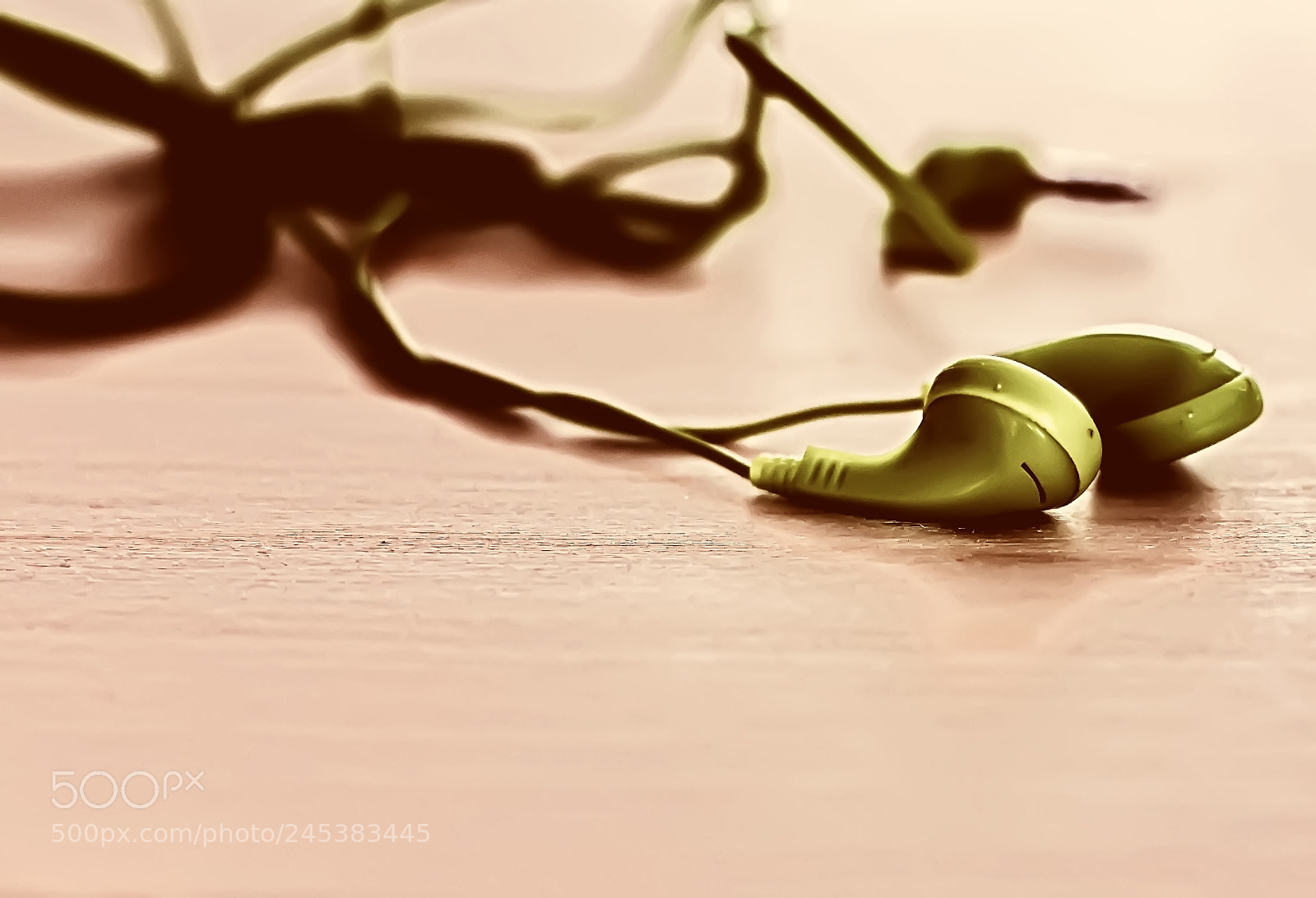 Nikon D90 sample photo. Small headphones photography