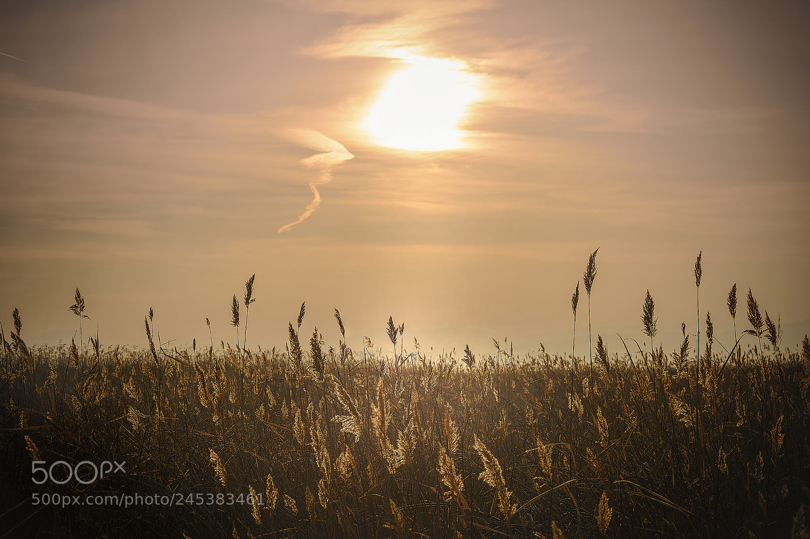 Nikon D7100 sample photo. Sunrise, sultansazlığı / kayseri photography