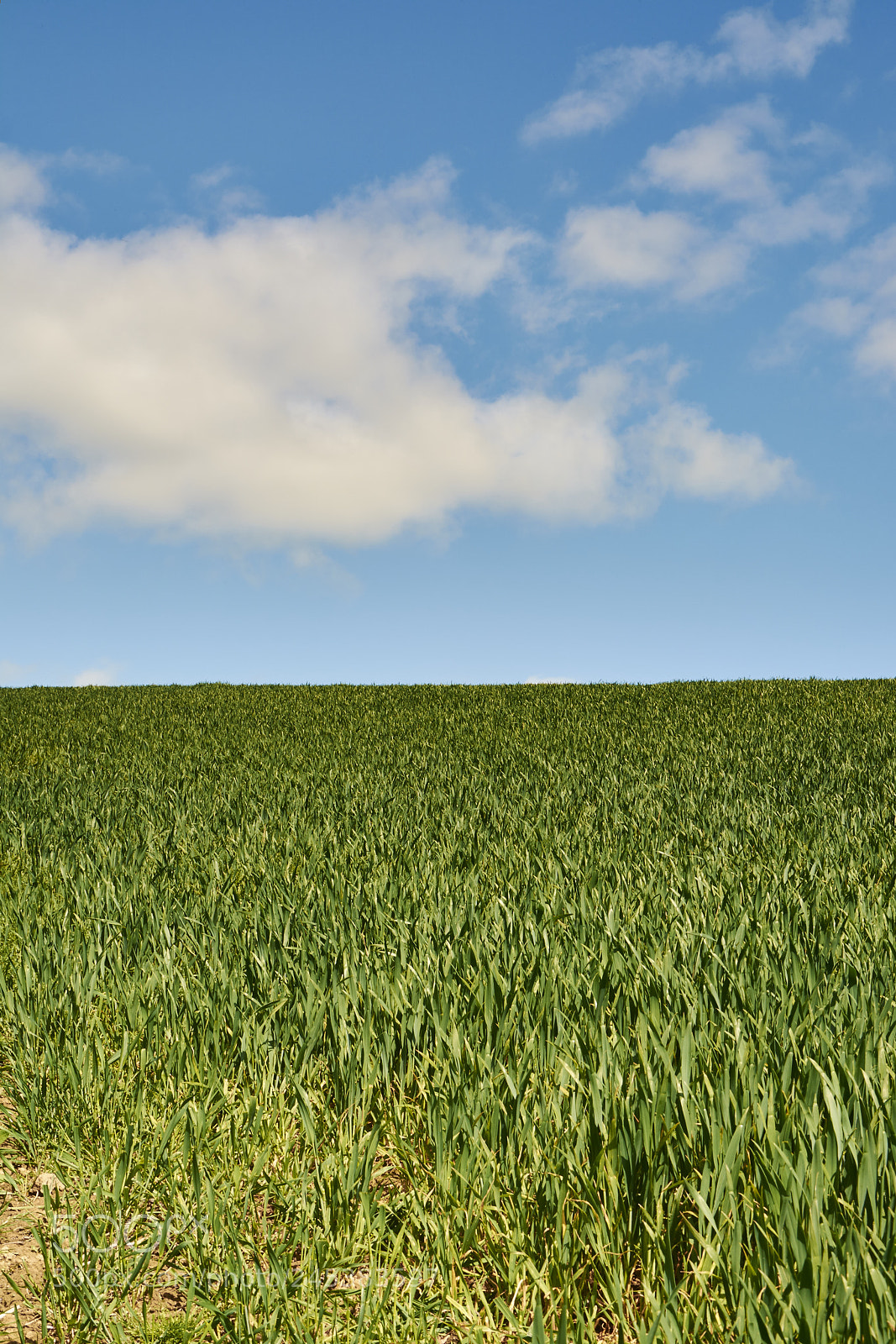 Nikon D7100 sample photo. Malvern, uk photography