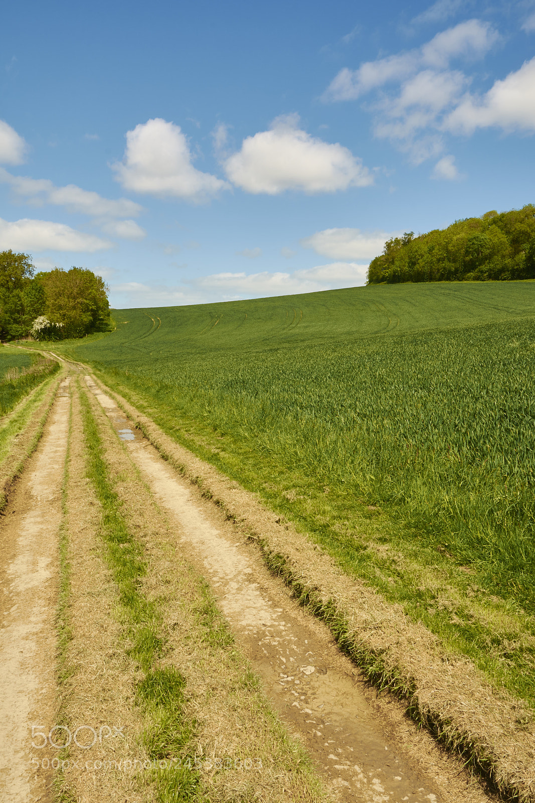 Nikon D7100 sample photo. Malvern, uk photography