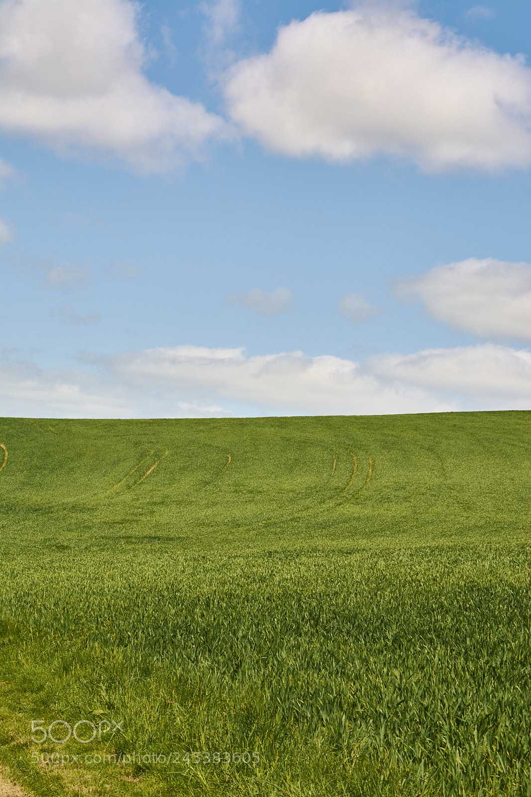 Nikon D7100 sample photo. Malvern, uk photography