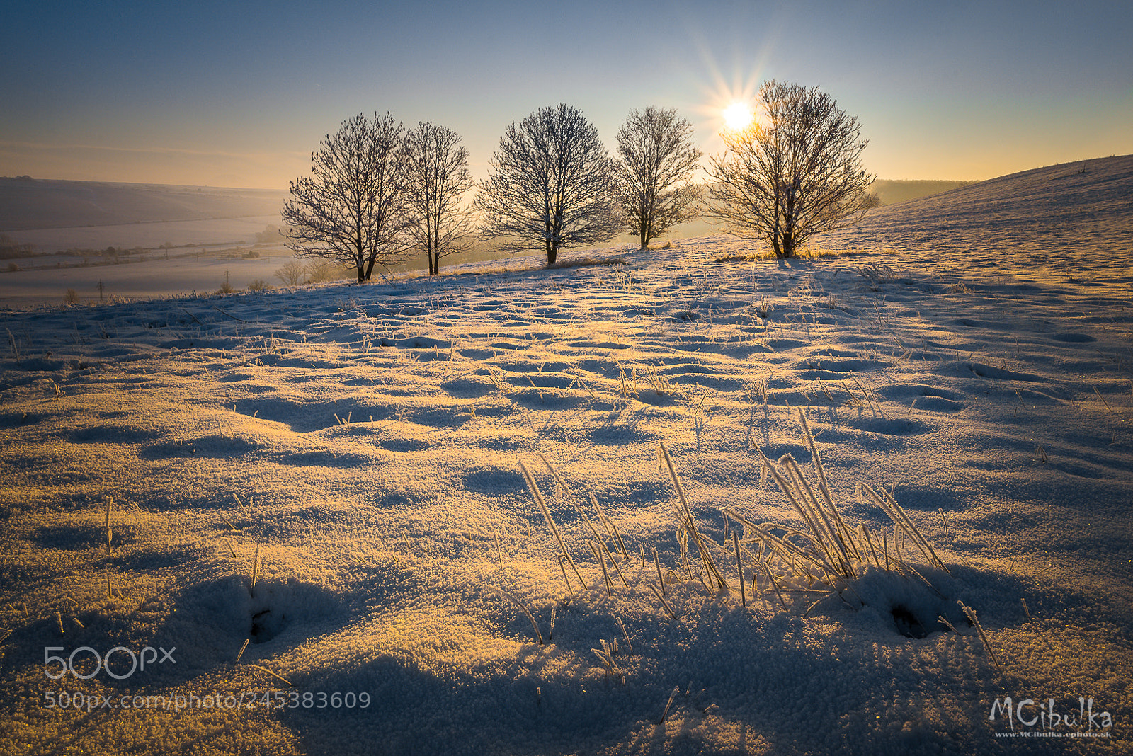 Sony a7R sample photo. Sunlight photography