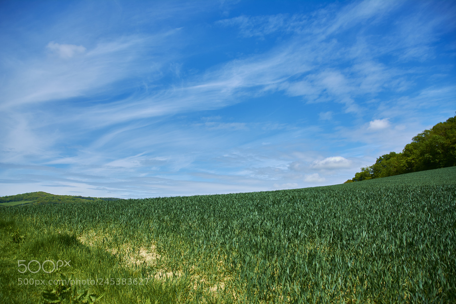 Nikon D7100 sample photo. Malvern, uk photography