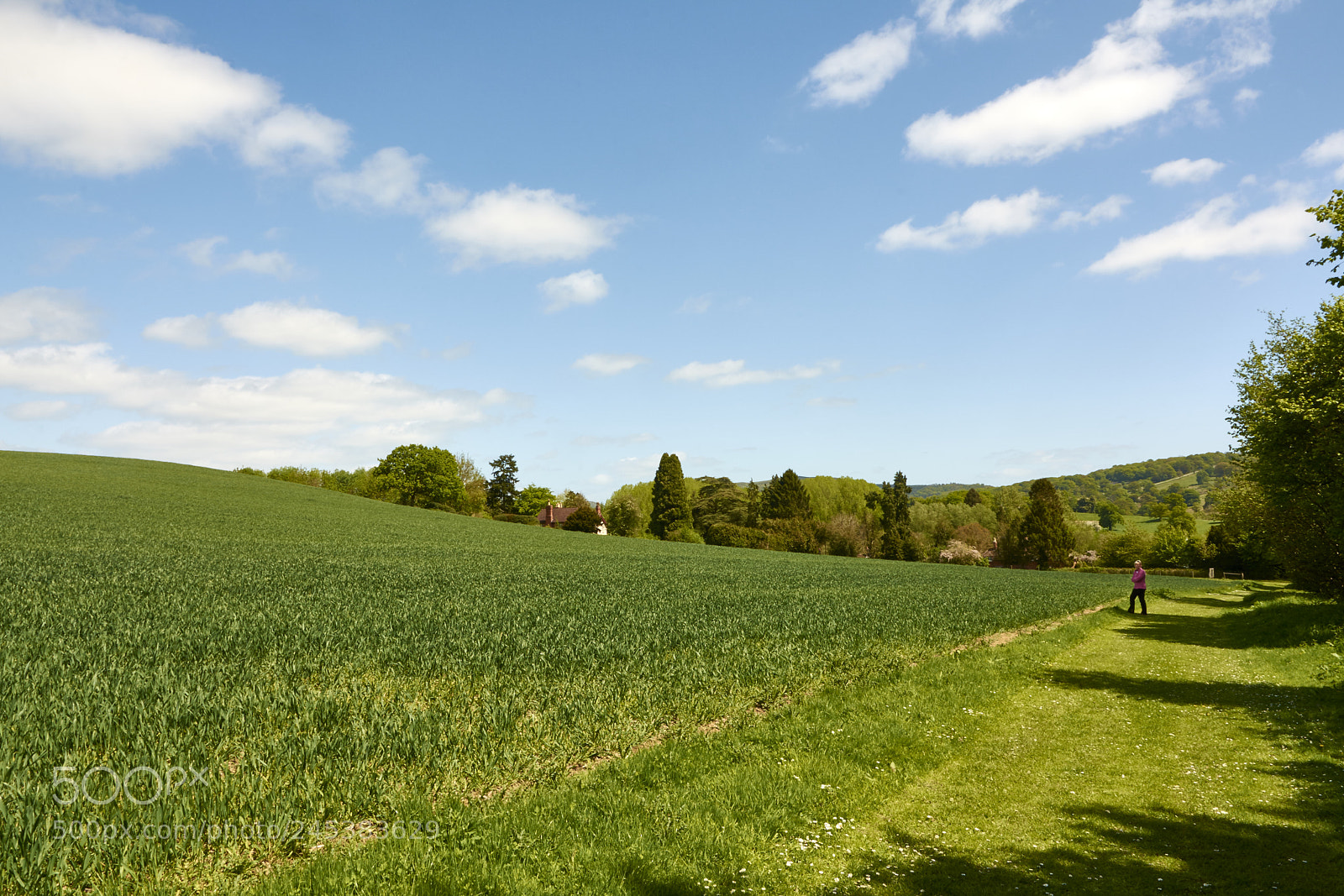 Nikon D7100 sample photo. Malvern, uk photography
