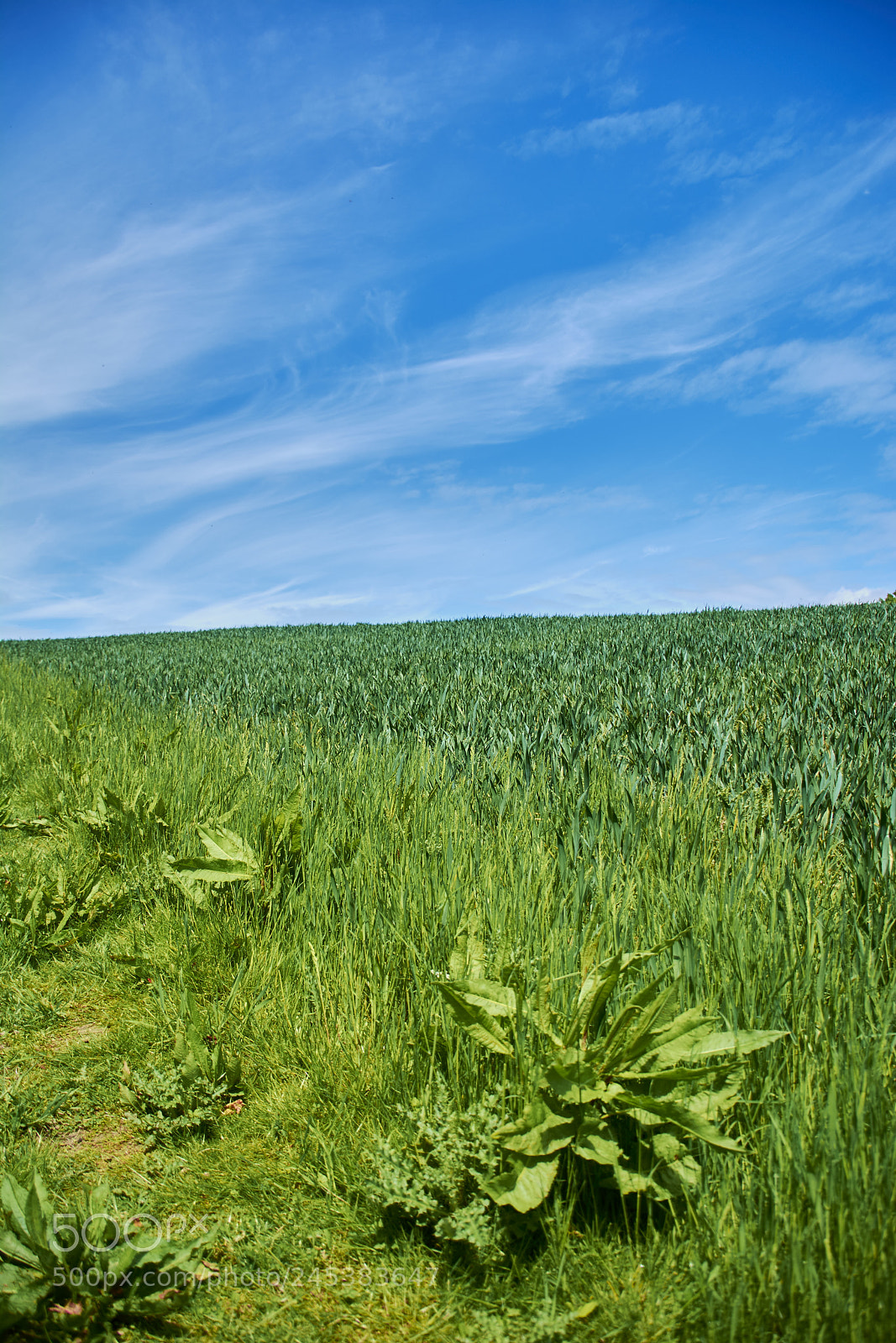 Nikon D7100 sample photo. Malvern, uk photography