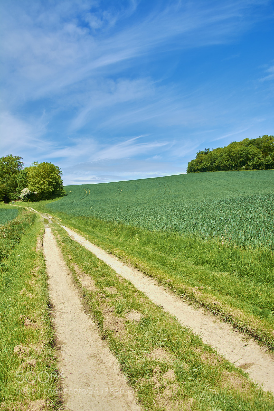 Nikon D7100 sample photo. Malvern, uk photography