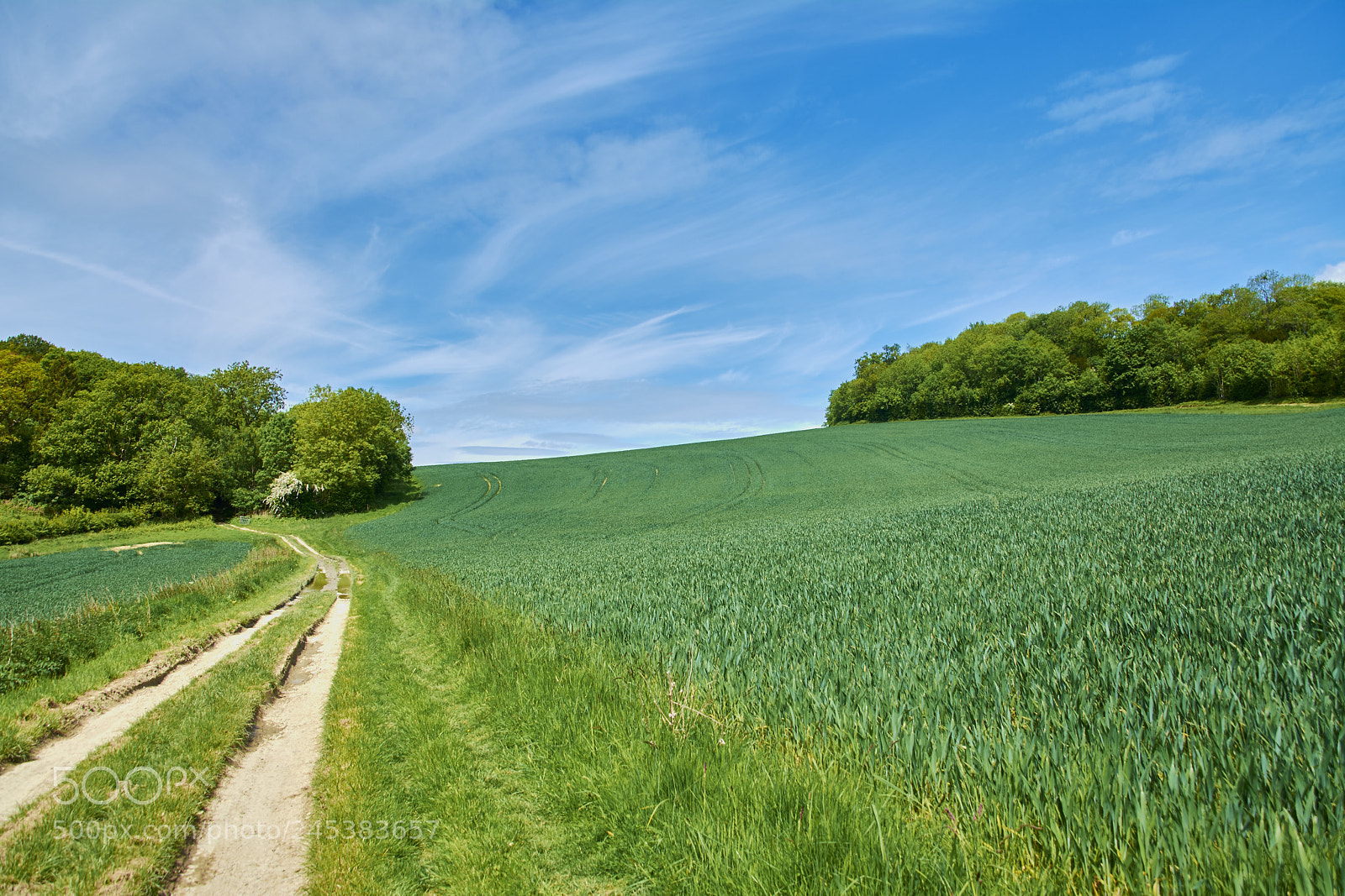 Nikon D7100 sample photo. Malvern, uk photography