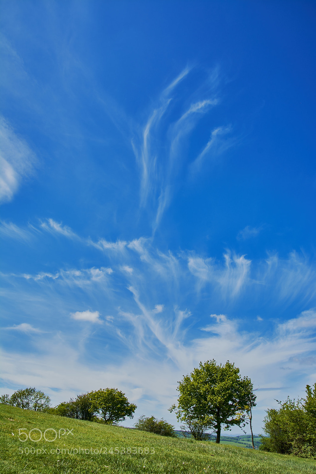 Nikon D7100 sample photo. Malvern, uk photography
