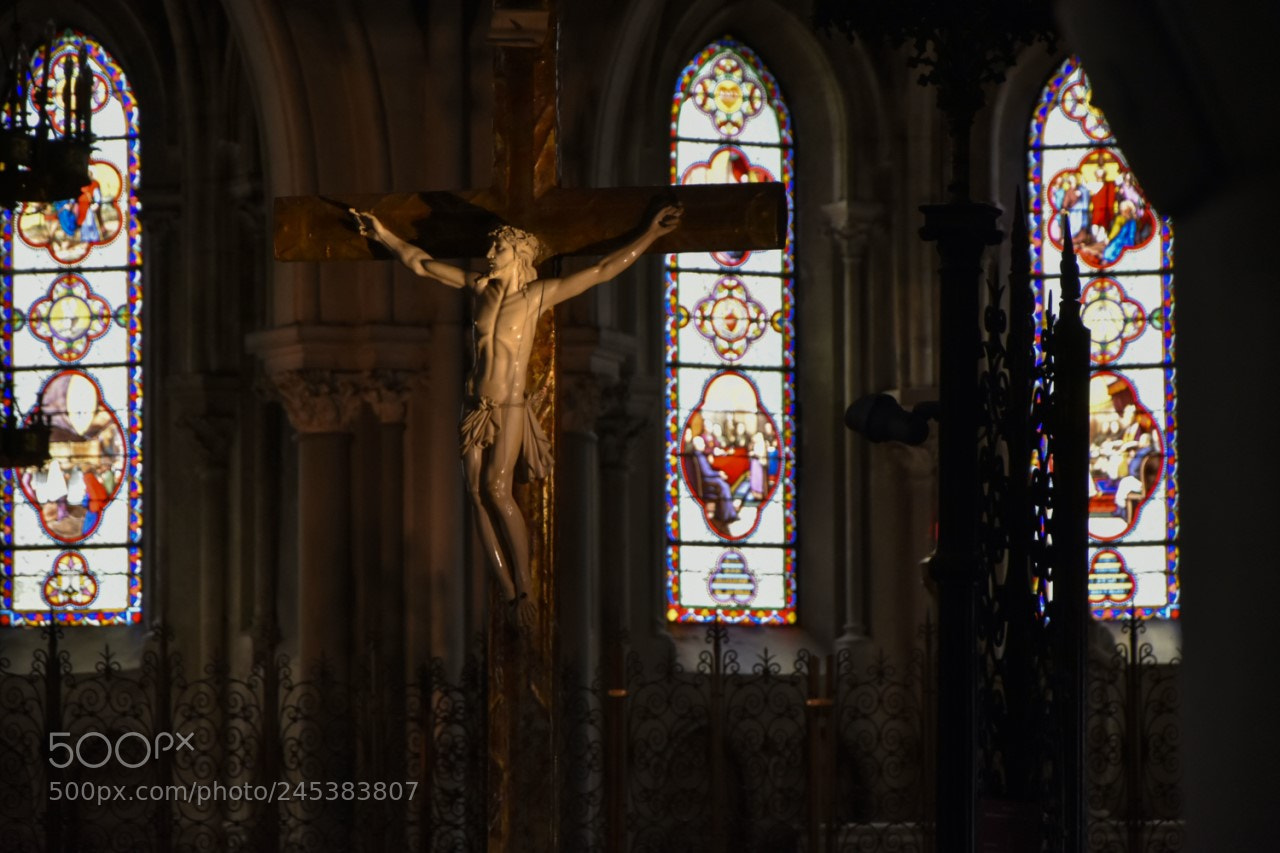 Nikon D7200 sample photo. Jesus photography