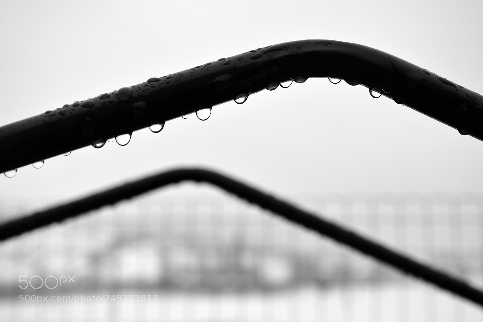 Nikon D5200 sample photo. Winter photography
