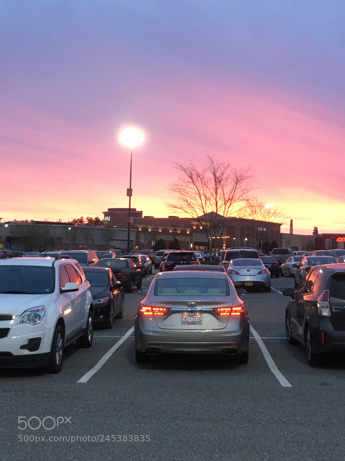 Apple iPhone SE sample photo. Sunset boulevard photography