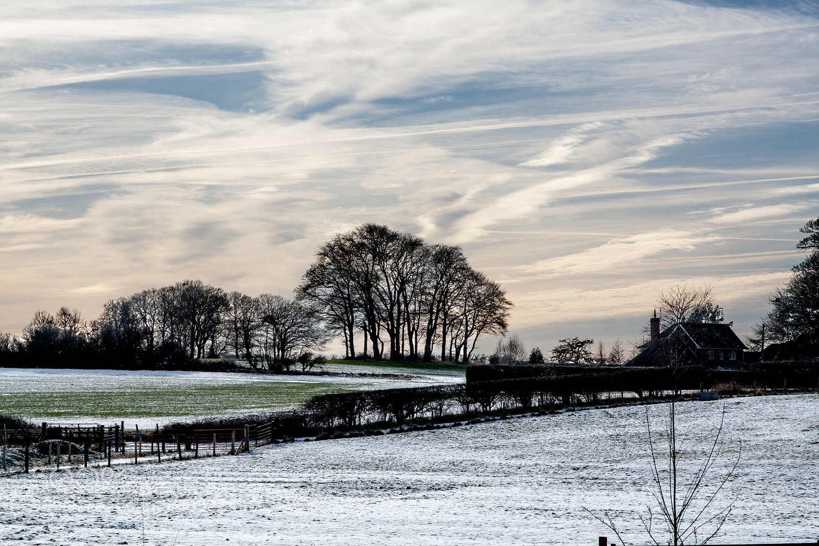 Canon EOS 450D (EOS Rebel XSi / EOS Kiss X2) sample photo. View from pinchenthorpe photography