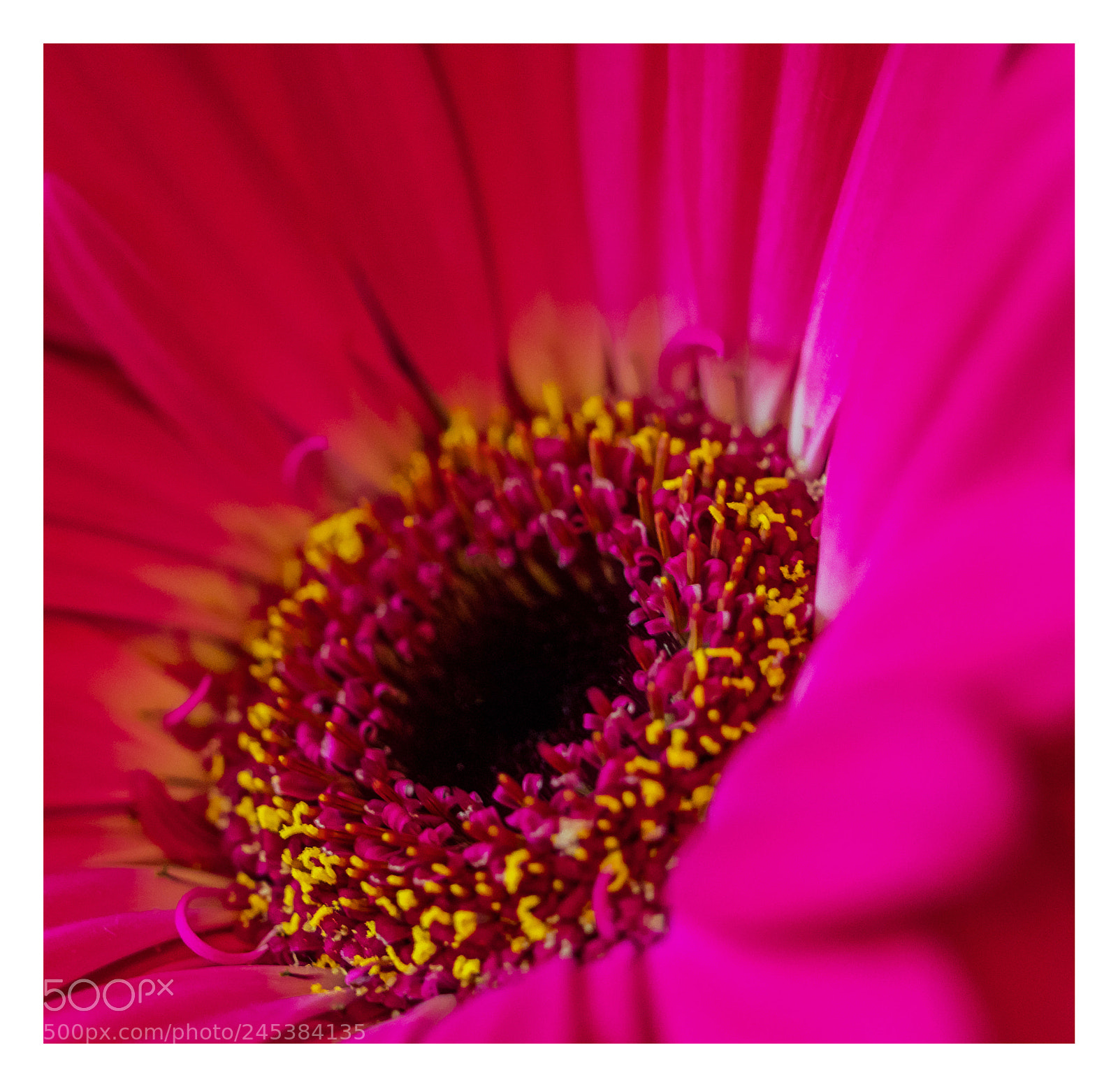 Olympus OM-D E-M1 Mark II sample photo. Olympus digital camera photography