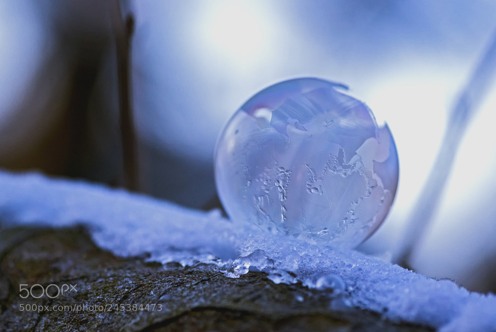 Nikon D800 sample photo. The beginning photography