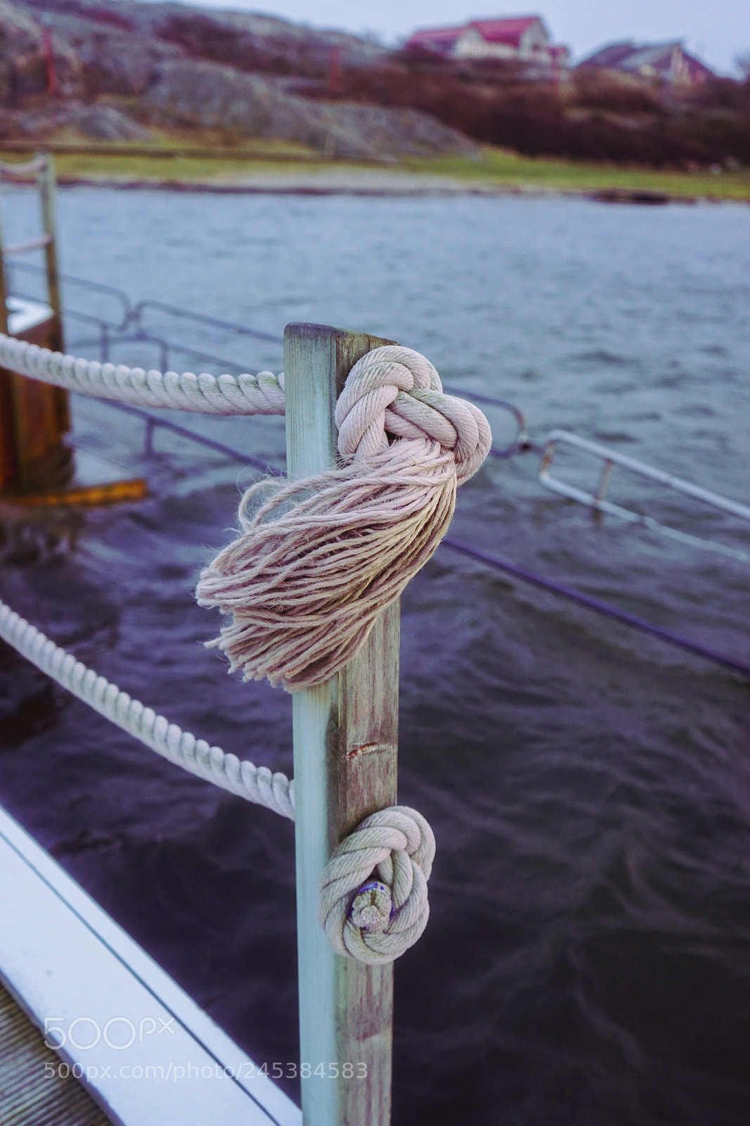 Sony a7 II sample photo. Knot photography
