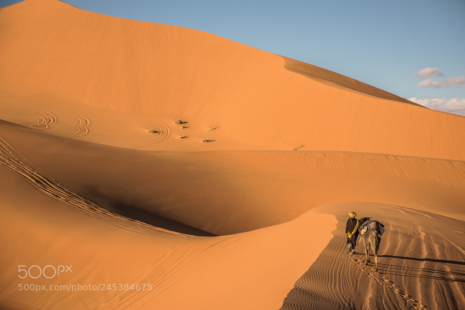 Nikon D810 sample photo. Sahara photography