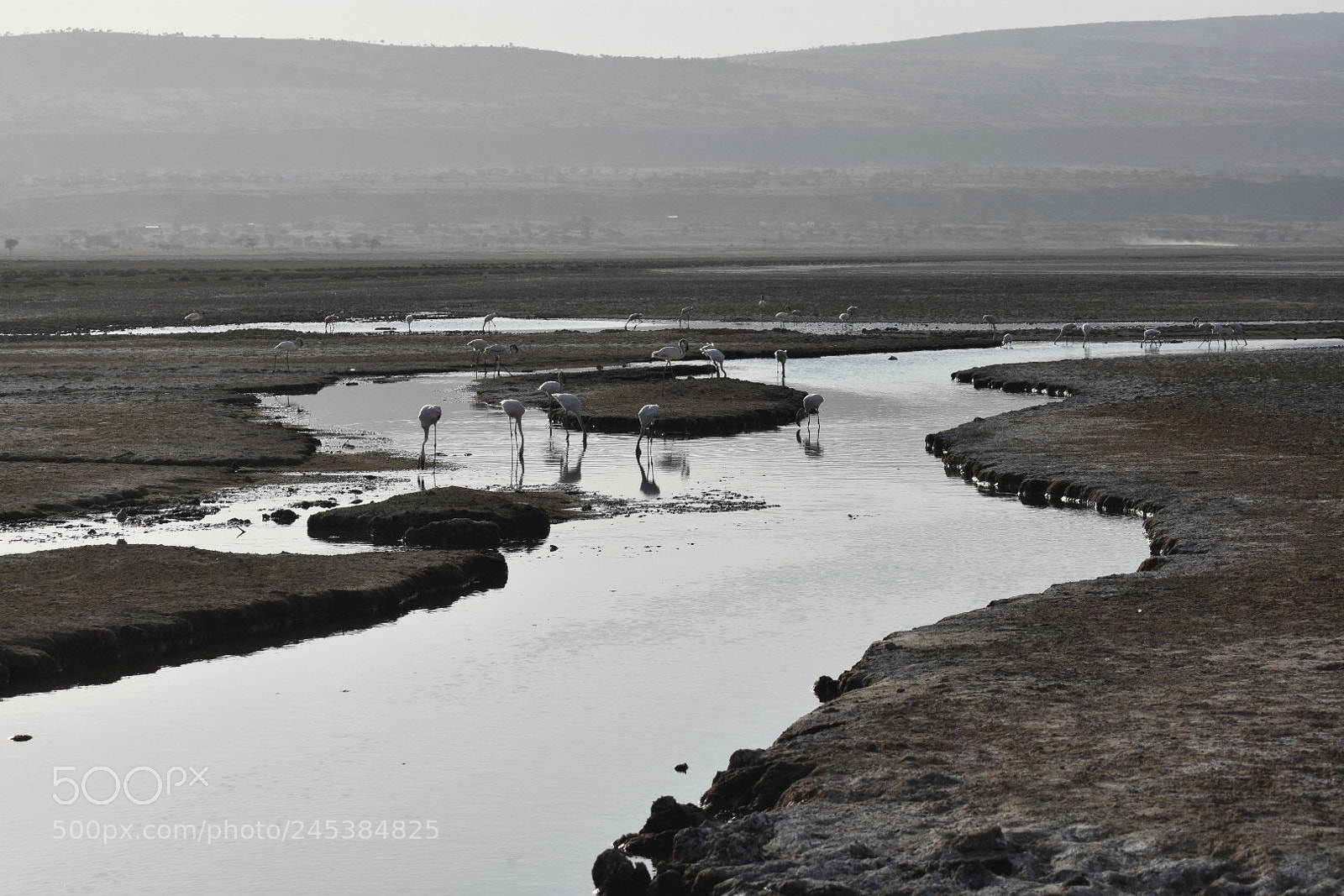 Nikon D7200 sample photo. Lake shalla photography