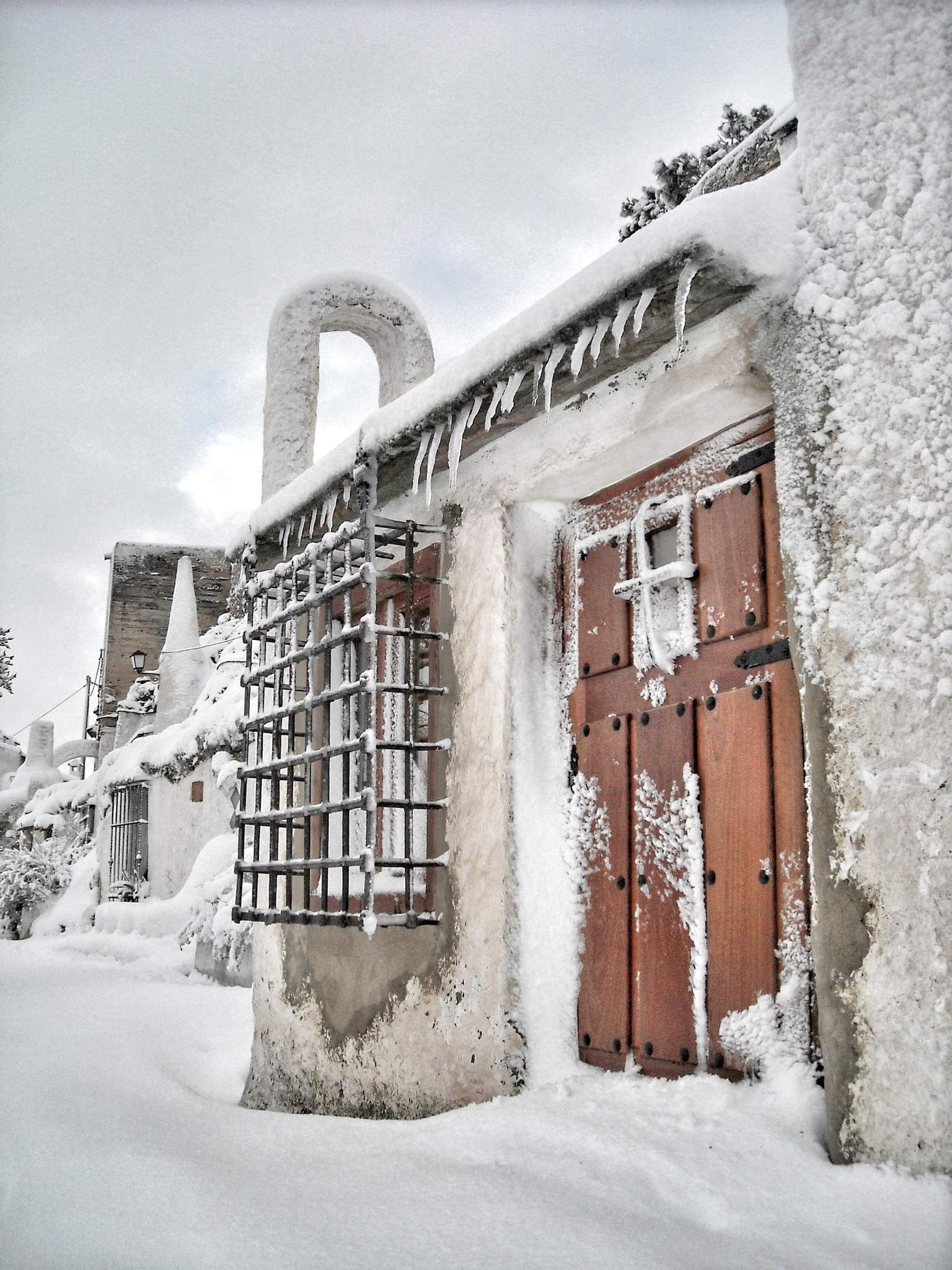 Nikon Coolpix L18 sample photo. Snow in chinchilla ❄️ photography