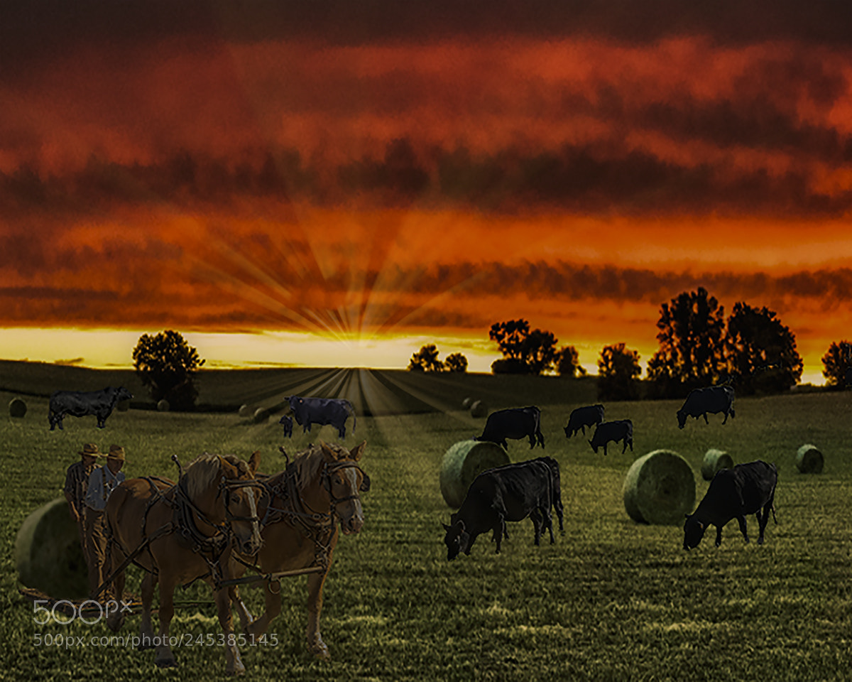 Nikon D810 sample photo. Sunrise photography