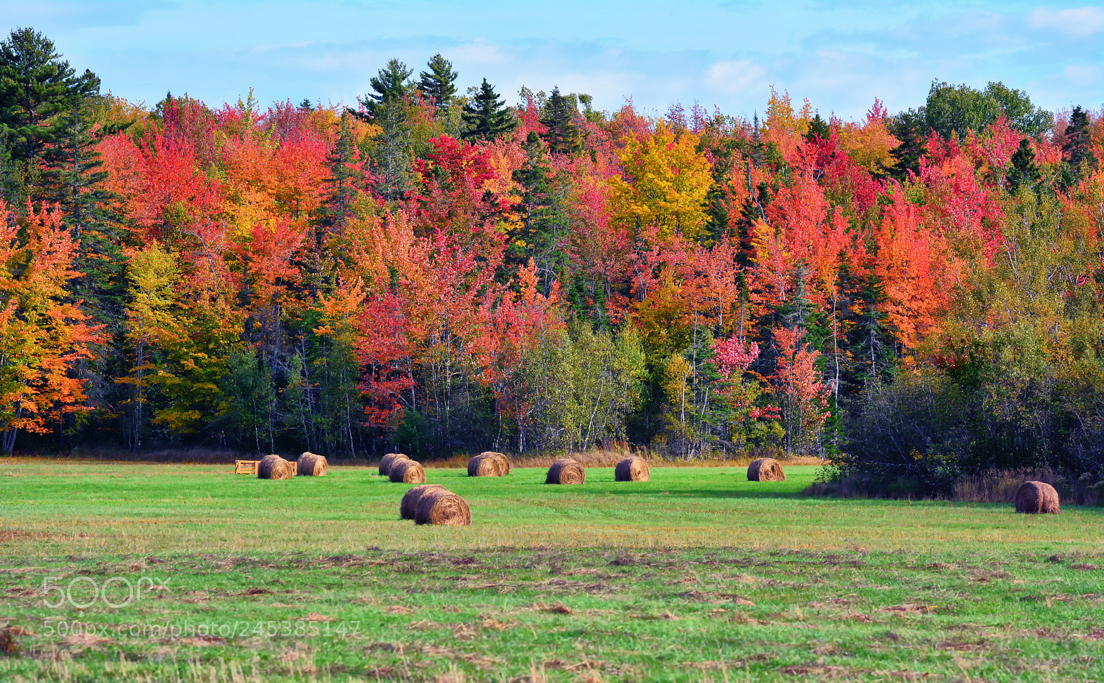 Nikon D7100 sample photo. Revisiting fall photography