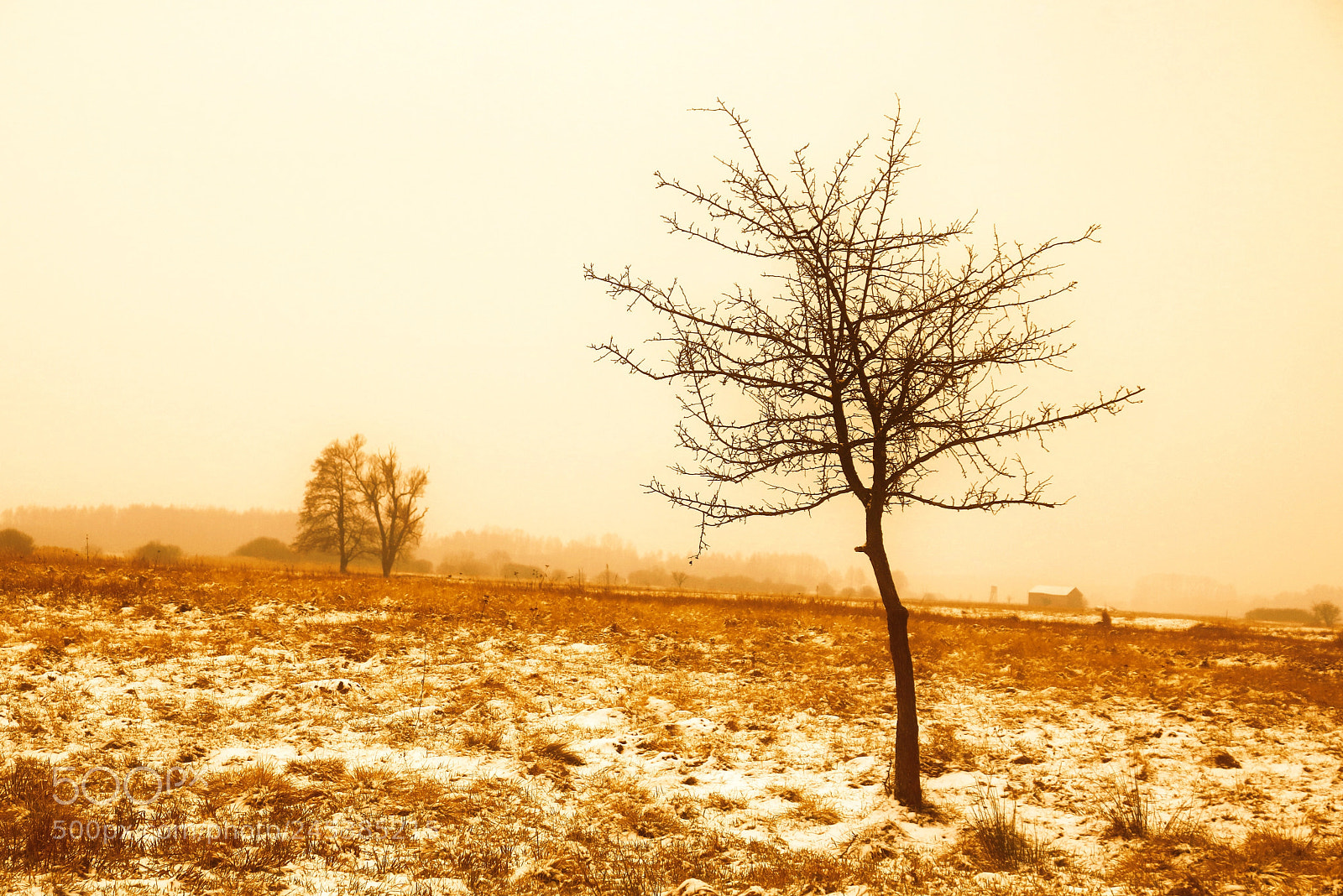 Canon EOS 760D (EOS Rebel T6s / EOS 8000D) sample photo. Lone tree photography