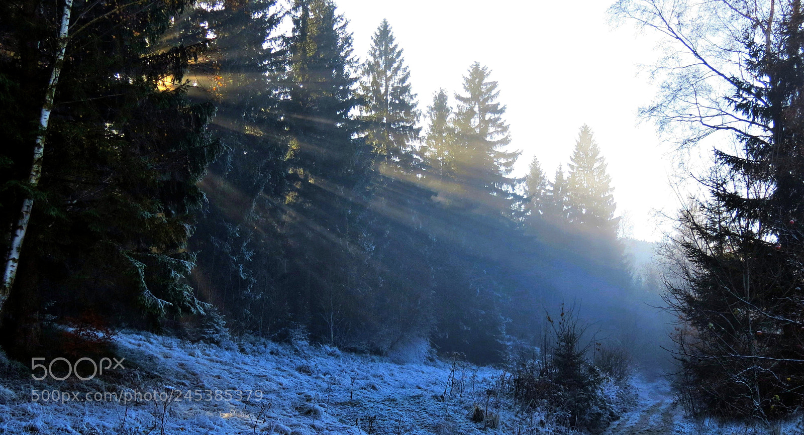 Canon PowerShot SX40 HS sample photo. Strahlen photography